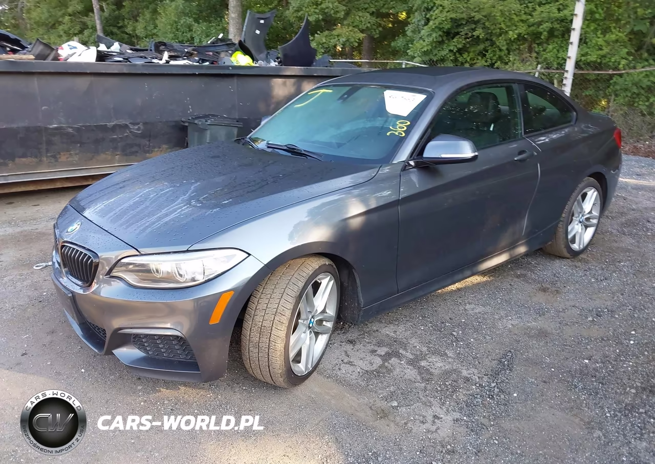 2015 BMW 228I VIN:WBA1G9C53FVX96716 - 2