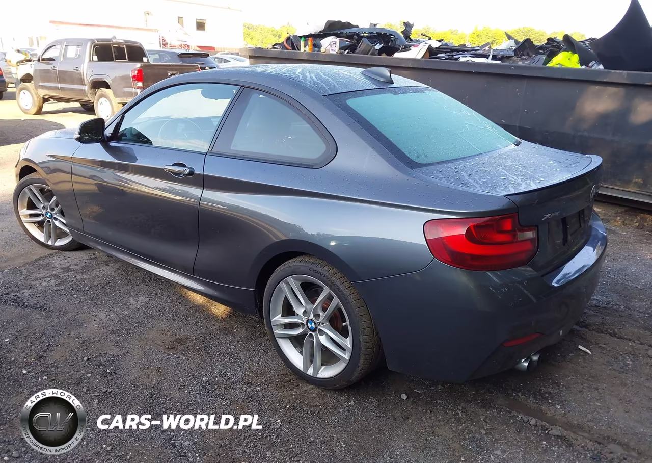 2015 BMW 228I VIN:WBA1G9C53FVX96716 - 3