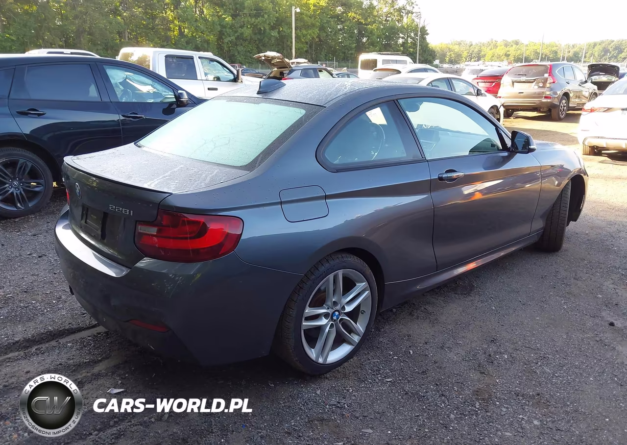 2015 BMW 228I VIN:WBA1G9C53FVX96716 - 4