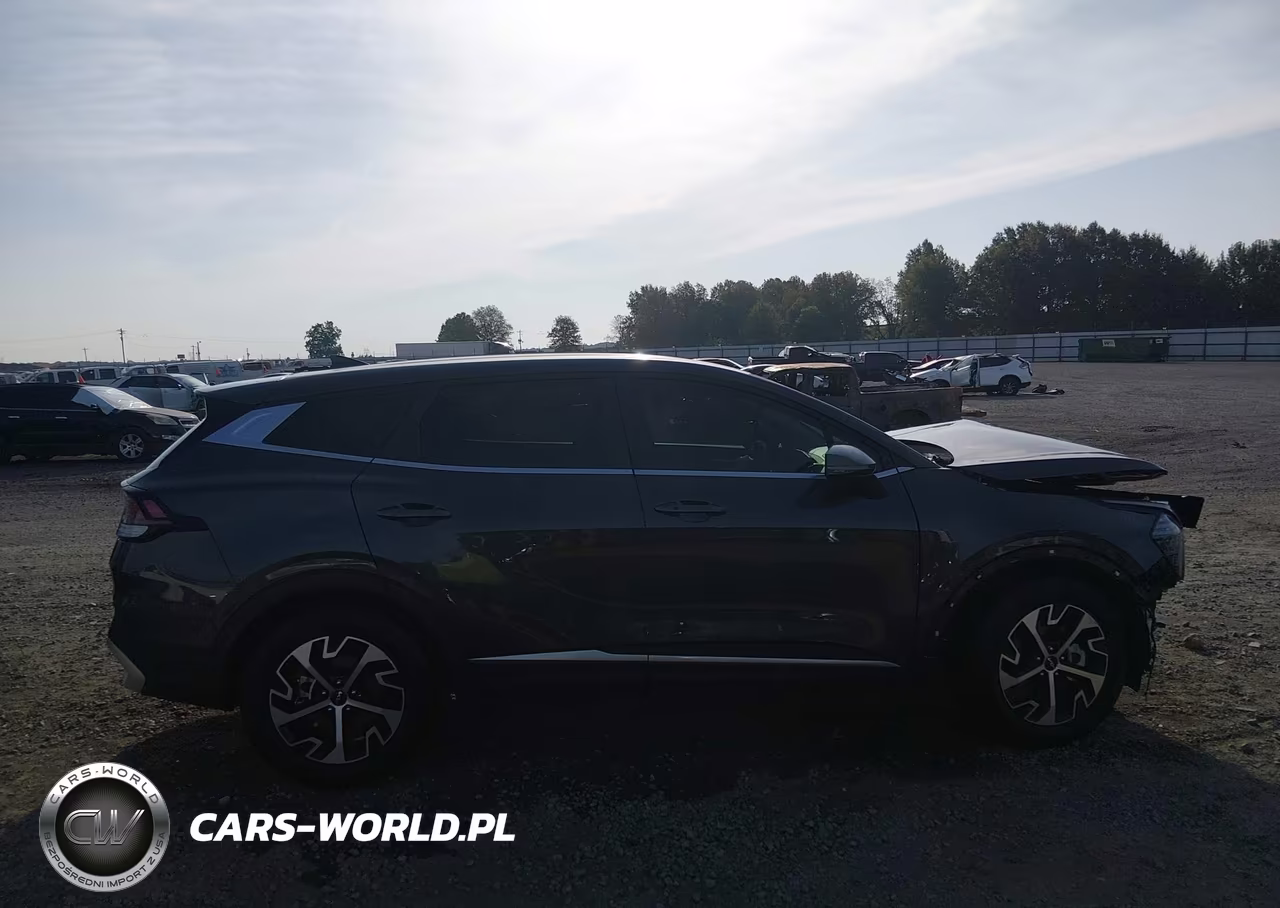 2024 Kia Sportage Ex VIN:5XYK33DF5RG181880 - 14