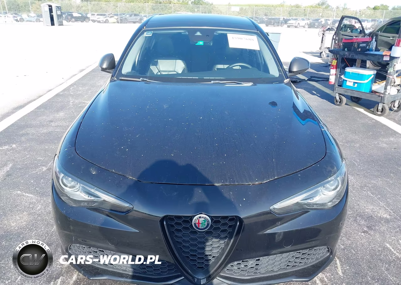 2019 Alfa Romeo Giulia Sport Rwd VIN:ZARFAMAN0K7612949 - 12