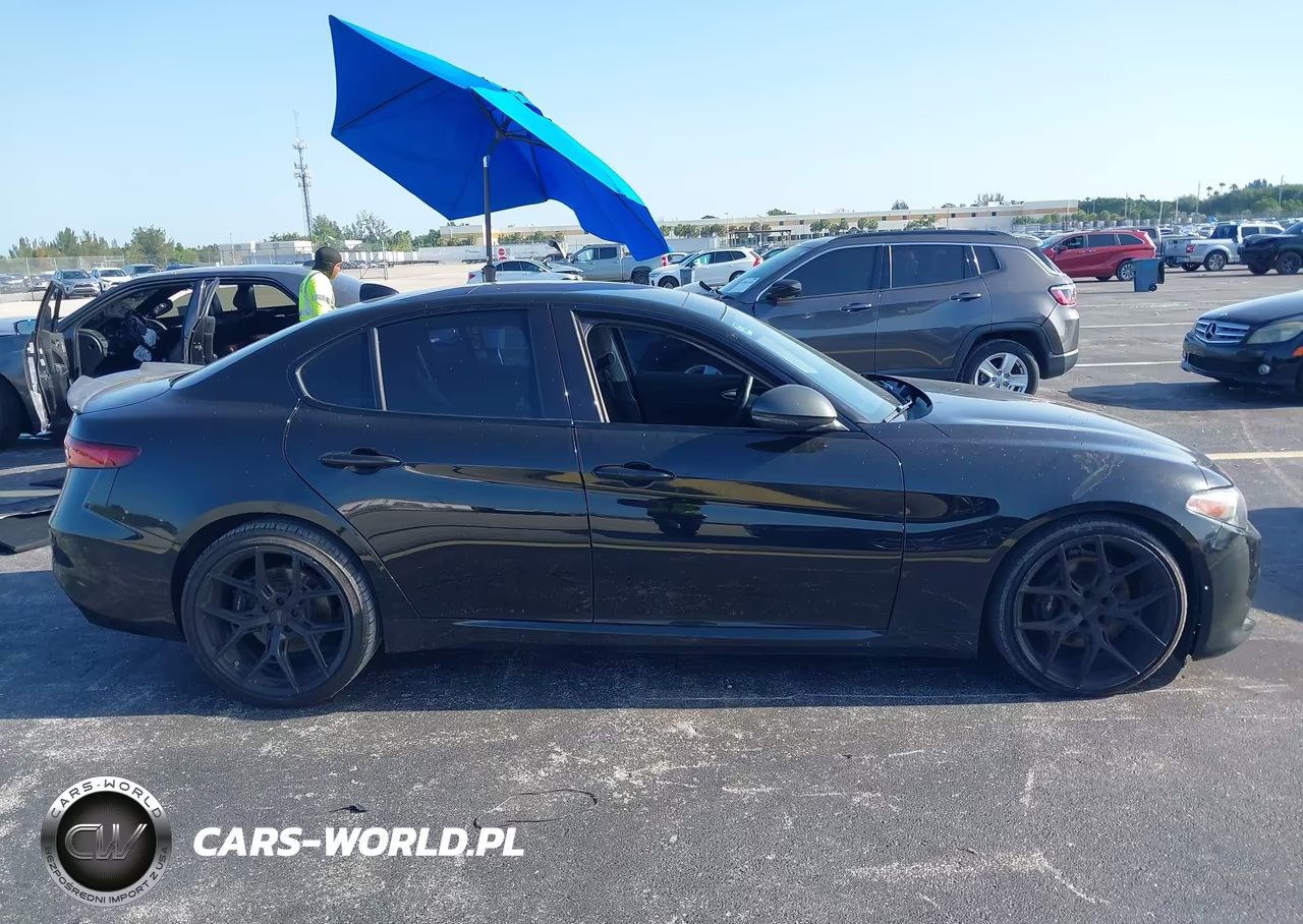 2019 Alfa Romeo Giulia Sport Rwd VIN:ZARFAMAN0K7612949 - 13