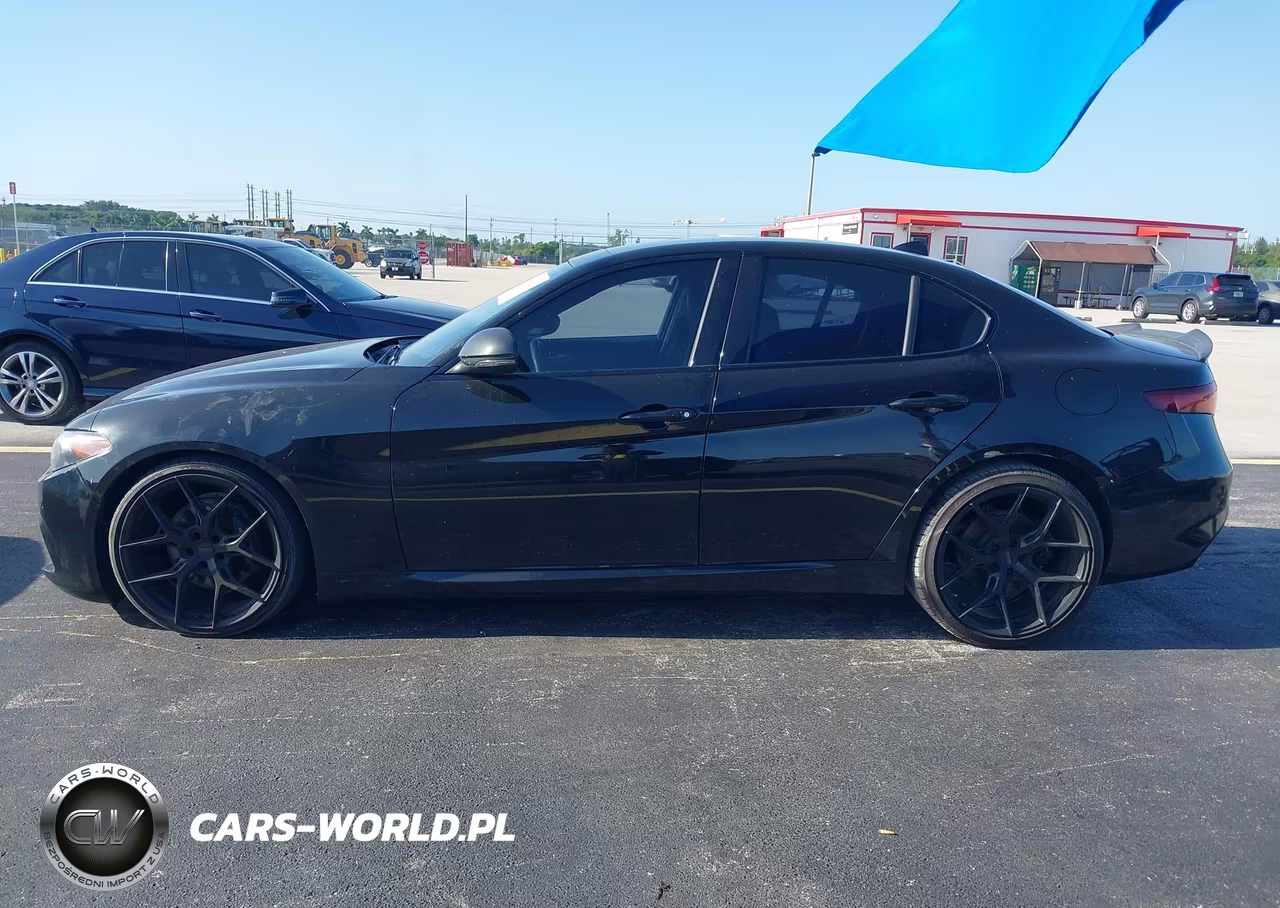 2019 Alfa Romeo Giulia Sport Rwd VIN:ZARFAMAN0K7612949 - 14