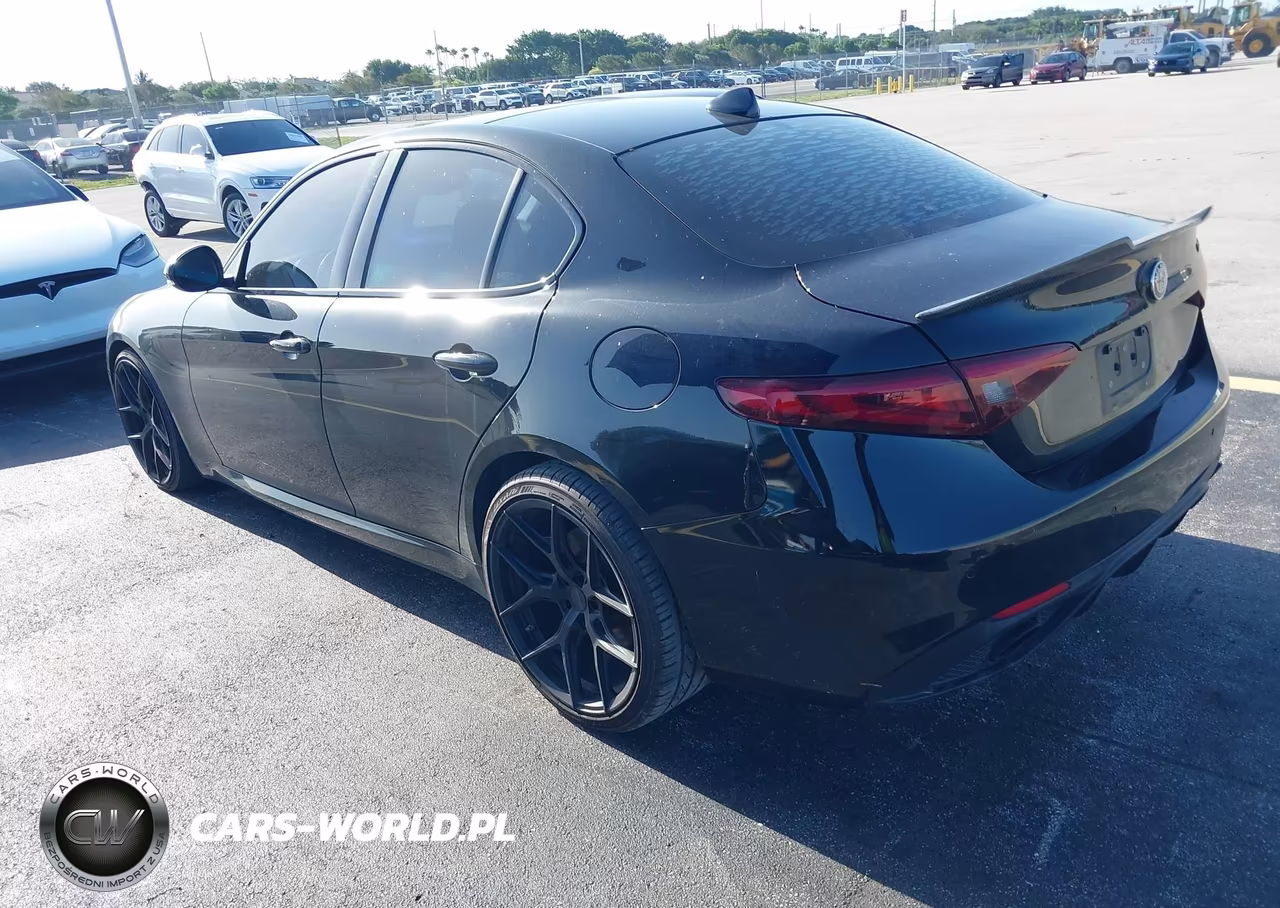 2019 Alfa Romeo Giulia Sport Rwd VIN:ZARFAMAN0K7612949 - 3