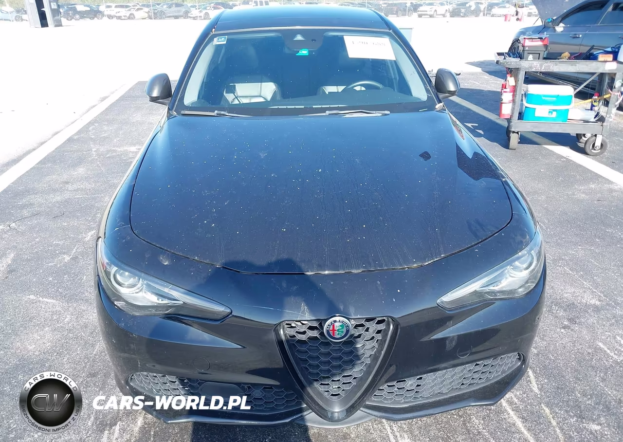 2019 Alfa Romeo Giulia Sport Rwd VIN:ZARFAMAN0K7612949 - 6