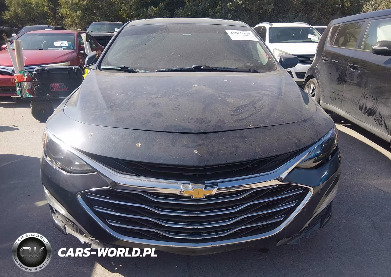 2019 Chevrolet Malibu Lt VIN:1G1ZD5ST8KF173113 - 12