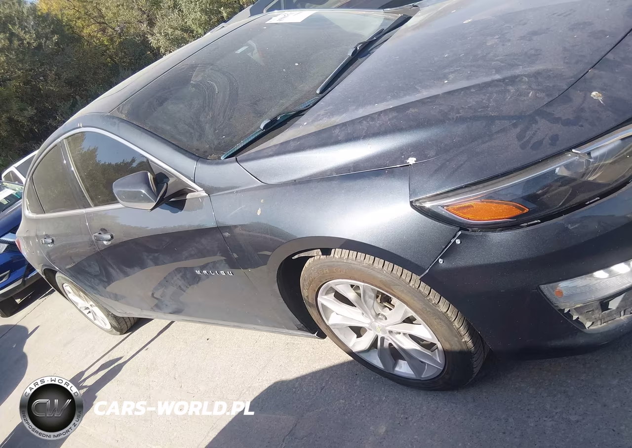 2019 Chevrolet Malibu Lt VIN:1G1ZD5ST8KF173113 - 13