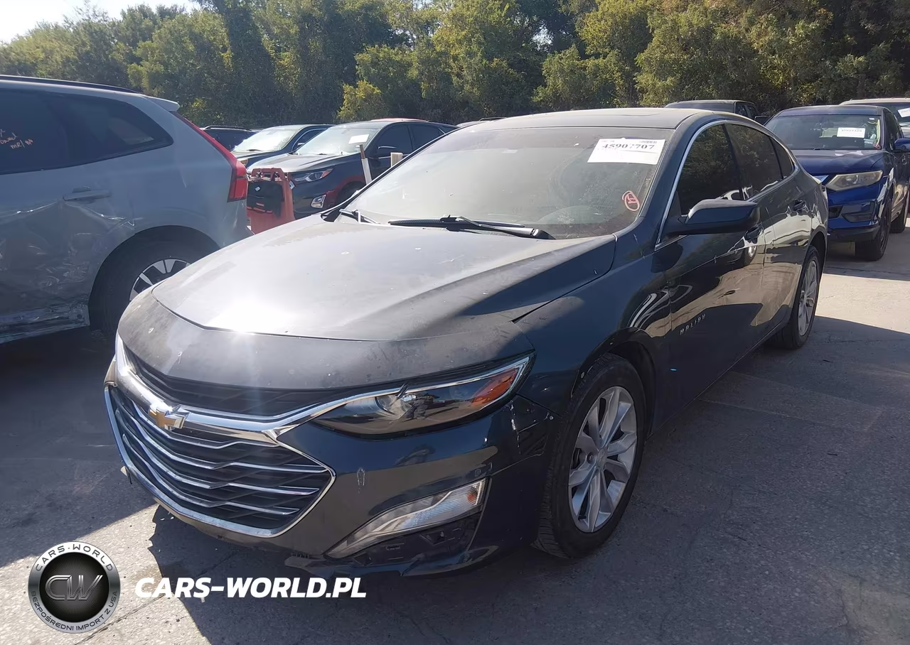 2019 Chevrolet Malibu Lt VIN:1G1ZD5ST8KF173113 - 2
