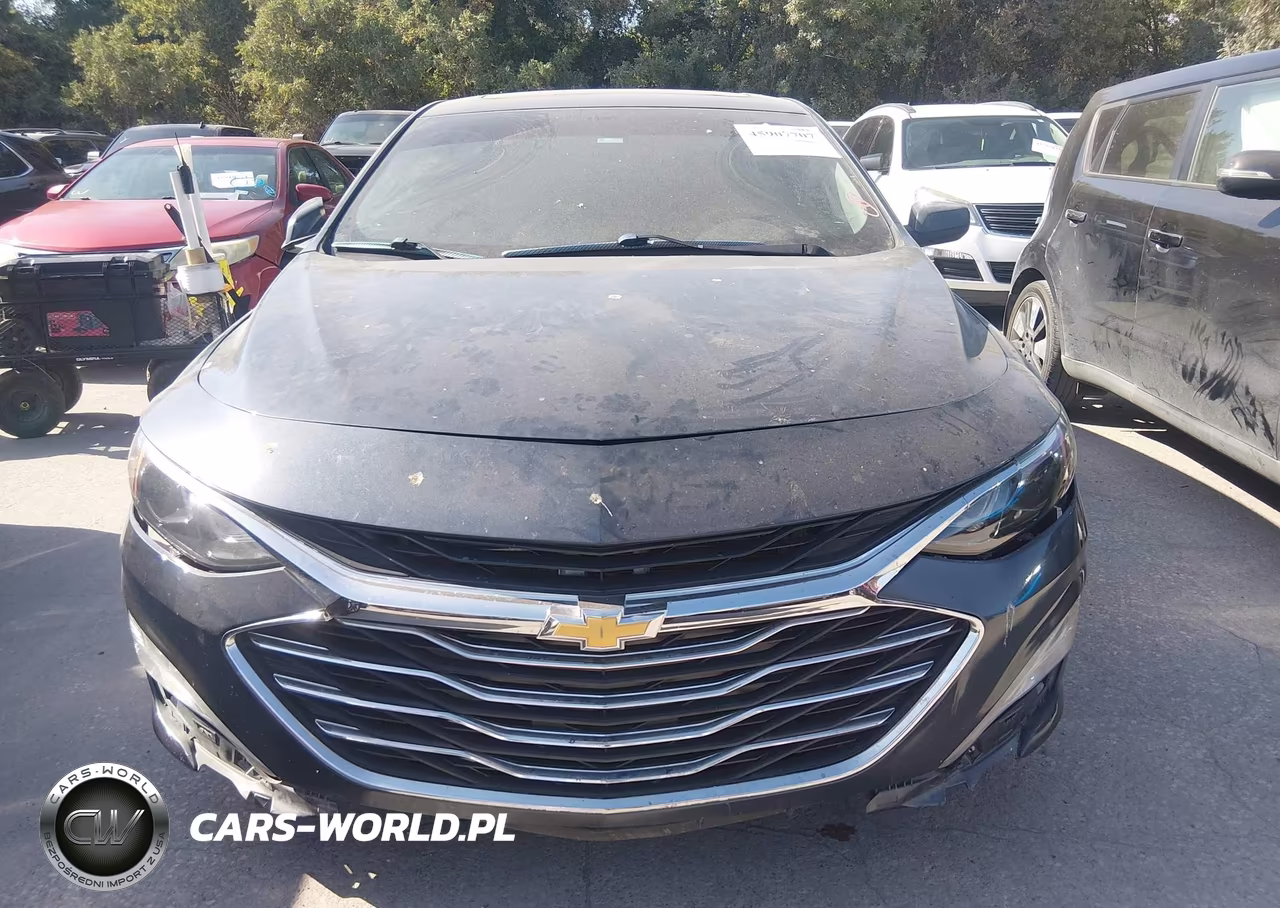 2019 Chevrolet Malibu Lt VIN:1G1ZD5ST8KF173113 - 6