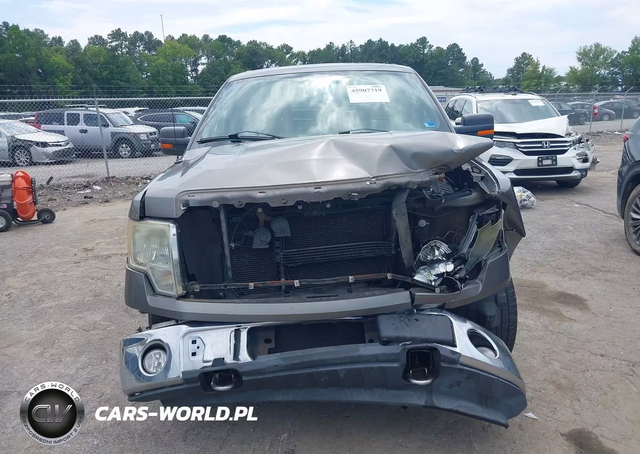 2010 Ford F-150 Fx4-Lariat-Xl-Xlt VIN:1FTFX1EV5AFC75216 - 13