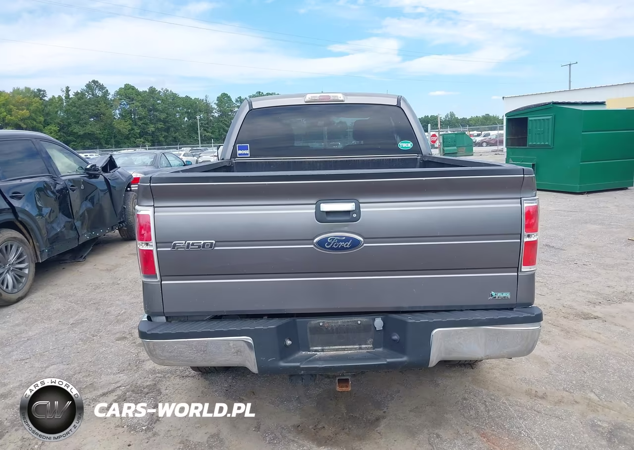 2010 Ford F-150 Fx4-Lariat-Xl-Xlt VIN:1FTFX1EV5AFC75216 - 17