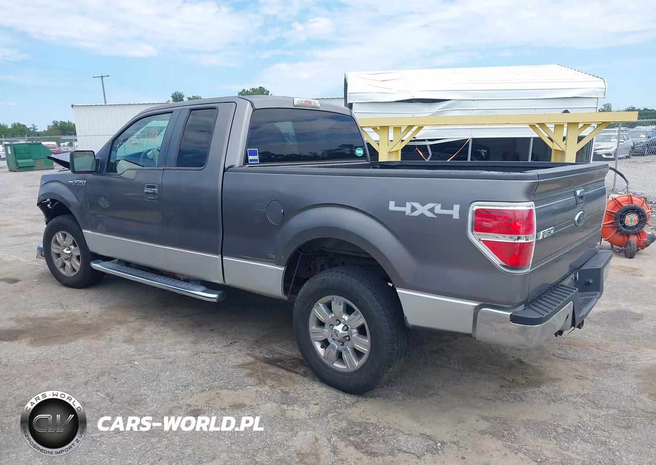 2010 Ford F-150 Fx4-Lariat-Xl-Xlt VIN:1FTFX1EV5AFC75216 - 3