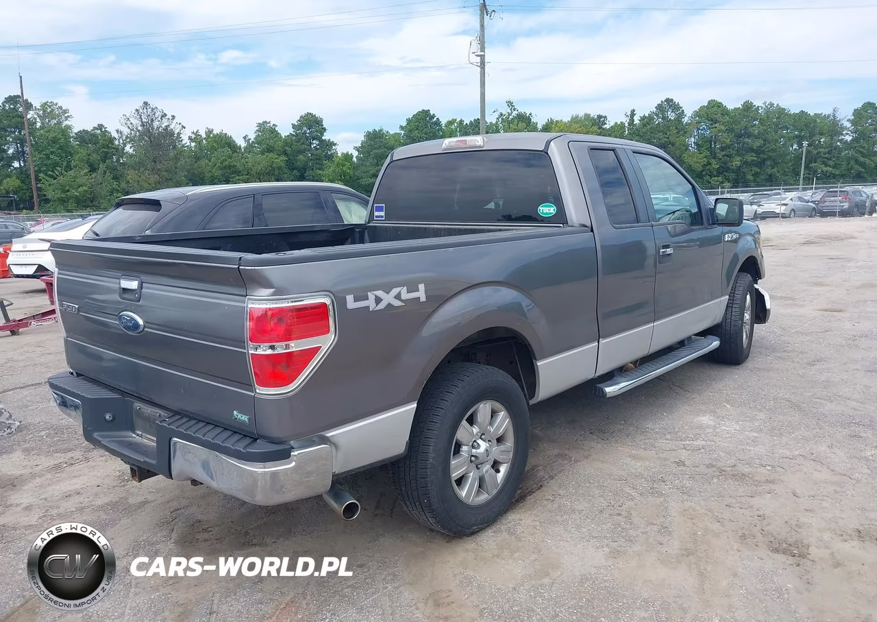 2010 Ford F-150 Fx4-Lariat-Xl-Xlt VIN:1FTFX1EV5AFC75216 - 4