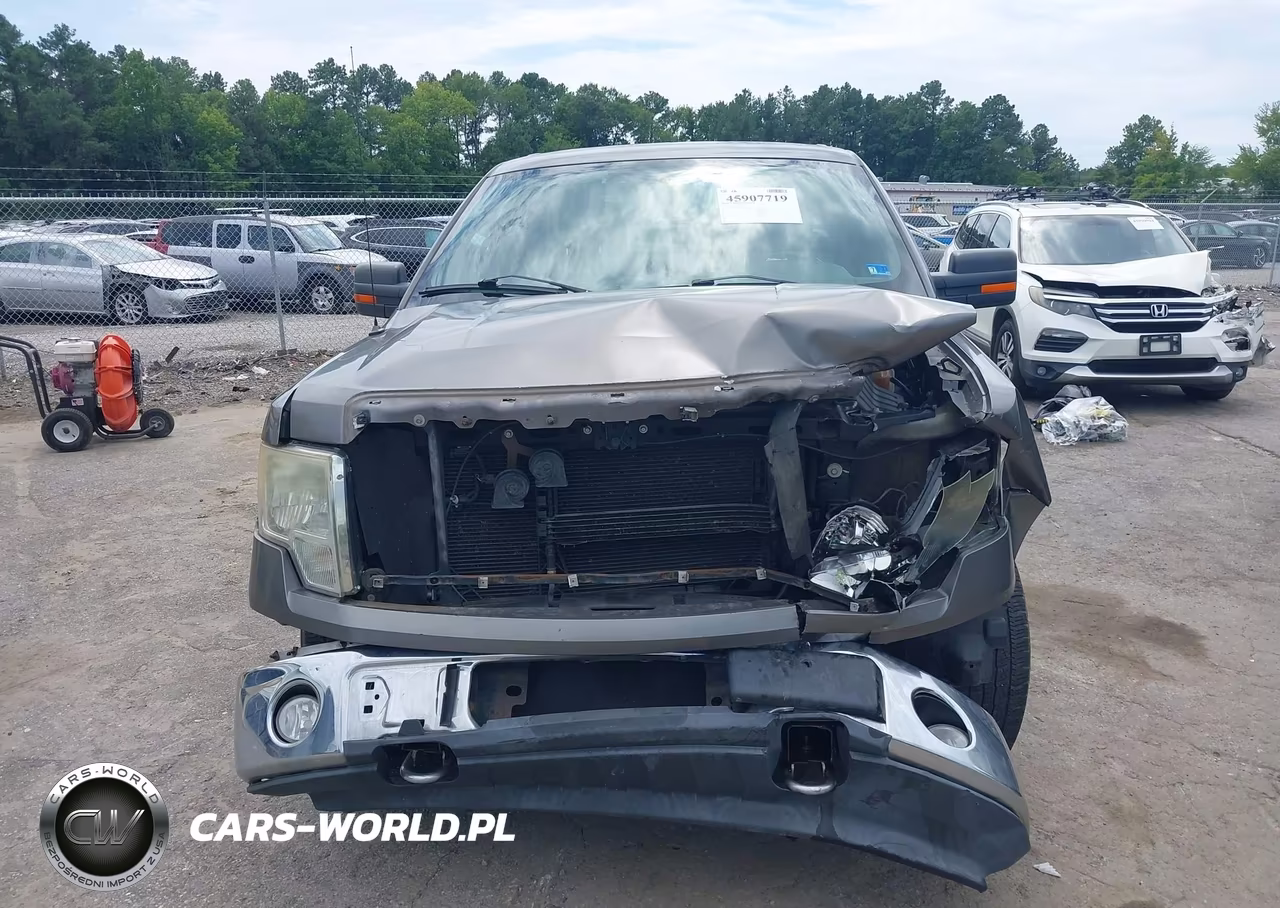 2010 Ford F-150 Fx4-Lariat-Xl-Xlt VIN:1FTFX1EV5AFC75216 - 6