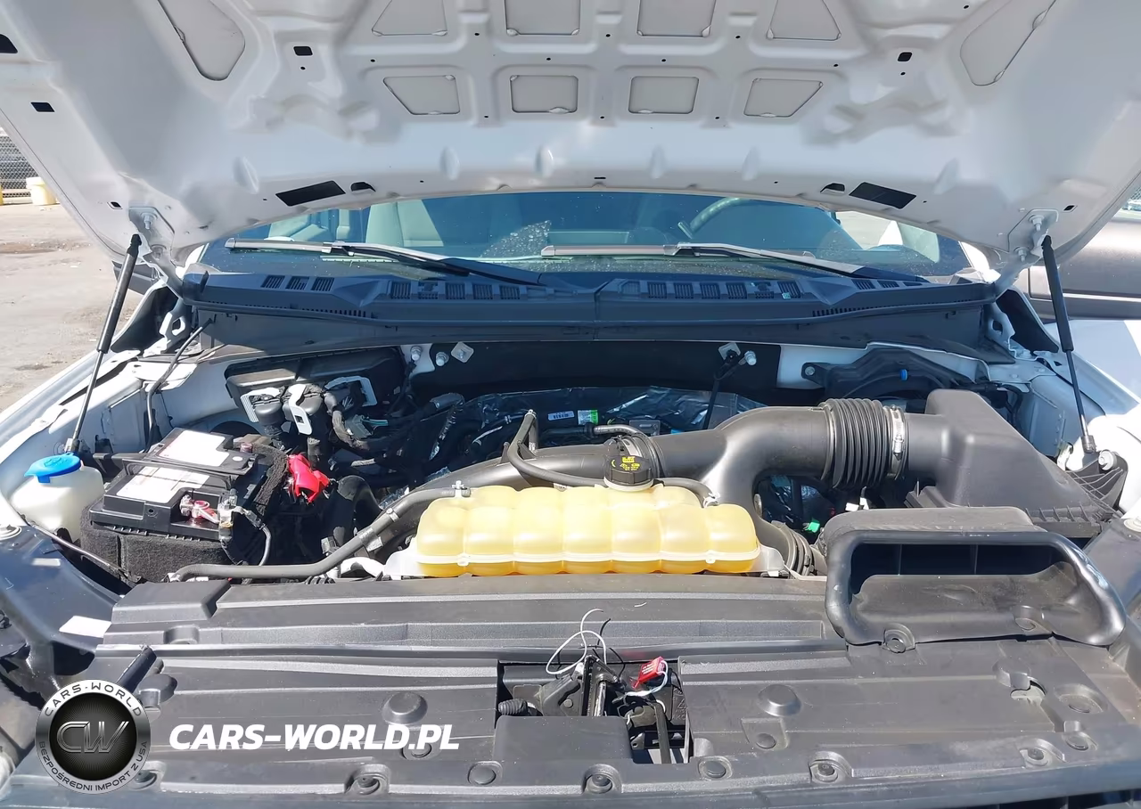 2020 Ford F-150 Xl VIN:1FTEX1EP3LKE17182 - 10