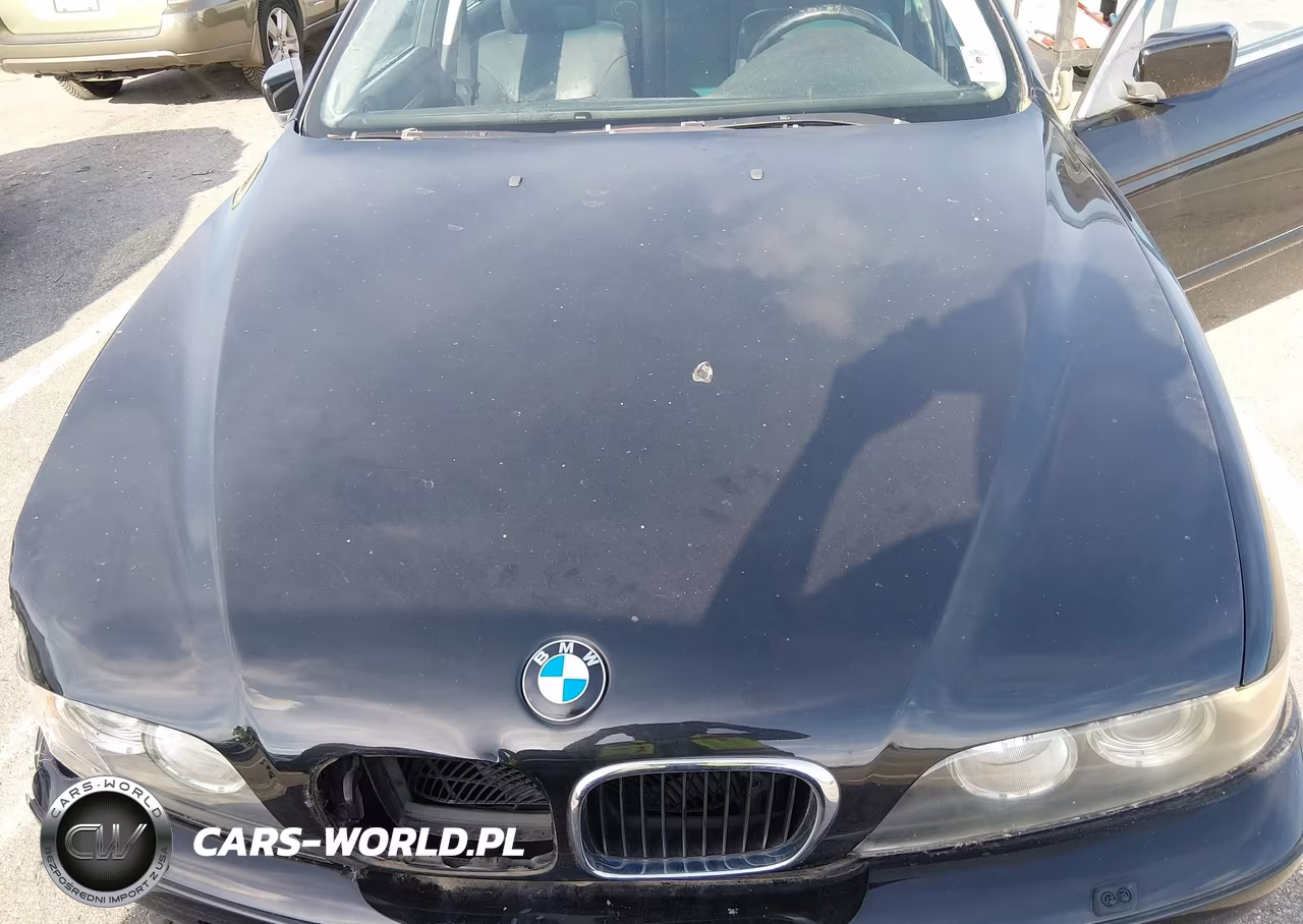 2003 BMW 530Ia VIN:WBADT63413CK38482 - 10