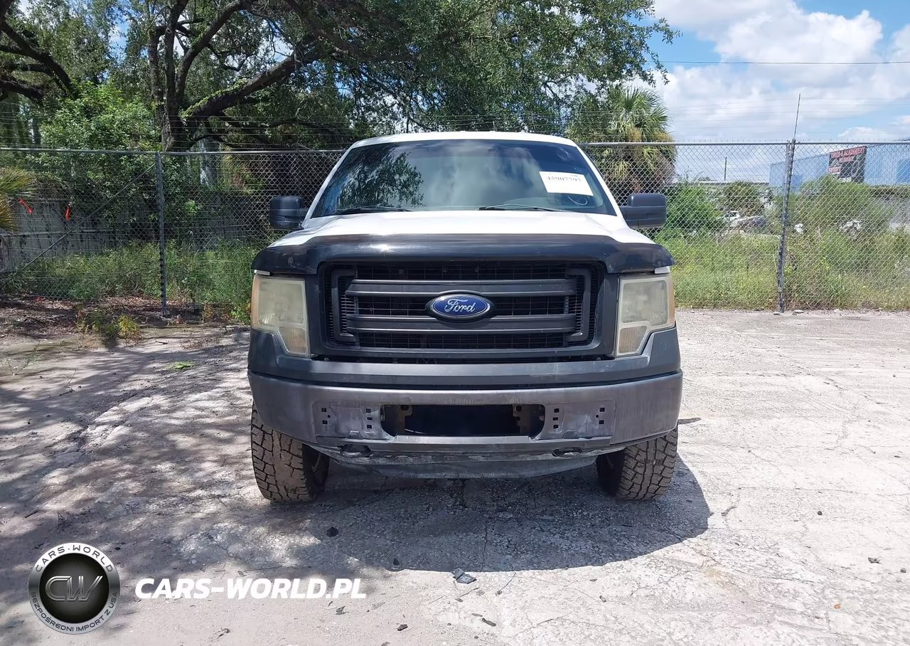 2014 Ford F150 VIN:1FTMF1CM2EFC86216 - 12