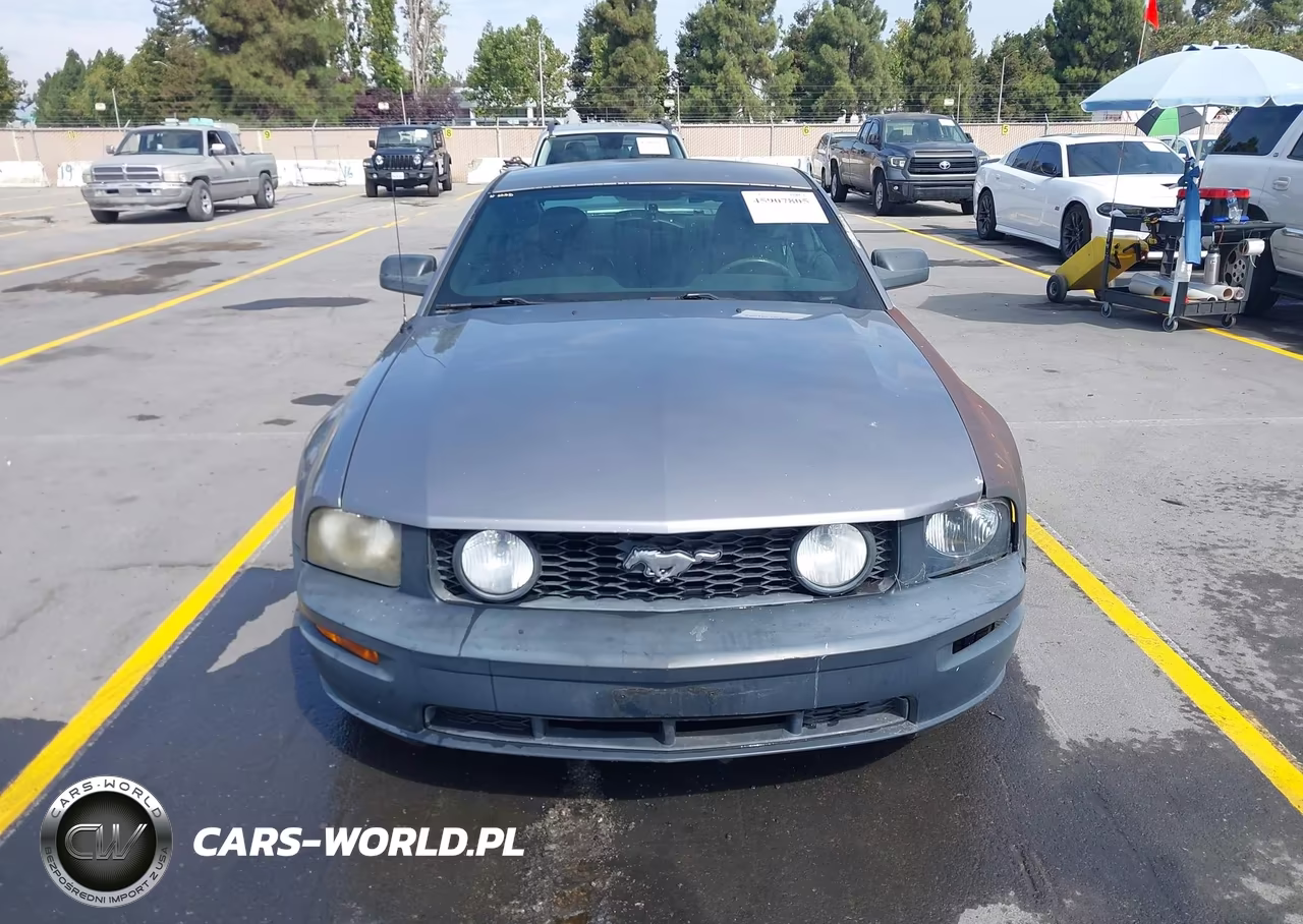 2007 Ford Mustang Gt Deluxe-Gt Premium VIN:1ZVHT82H975212613 - 12