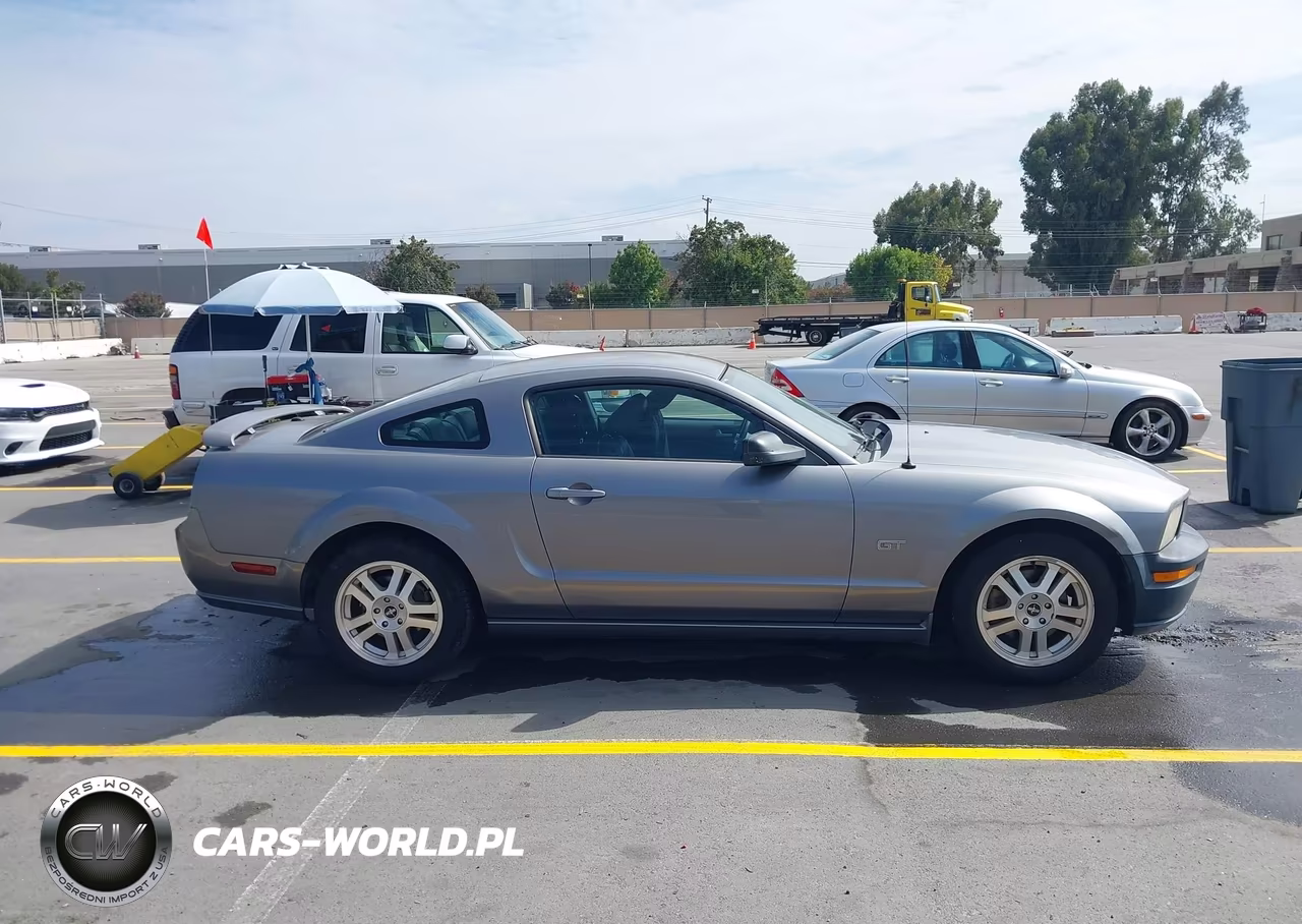 2007 Ford Mustang Gt Deluxe-Gt Premium VIN:1ZVHT82H975212613 - 13