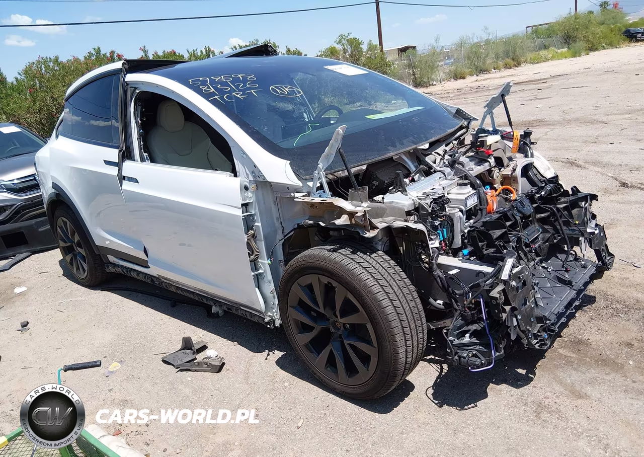 2023 Tesla Model X Dual Motor All-Wheel Drive-Standard Range VIN:7SAXCDE57PF401481 - 1
