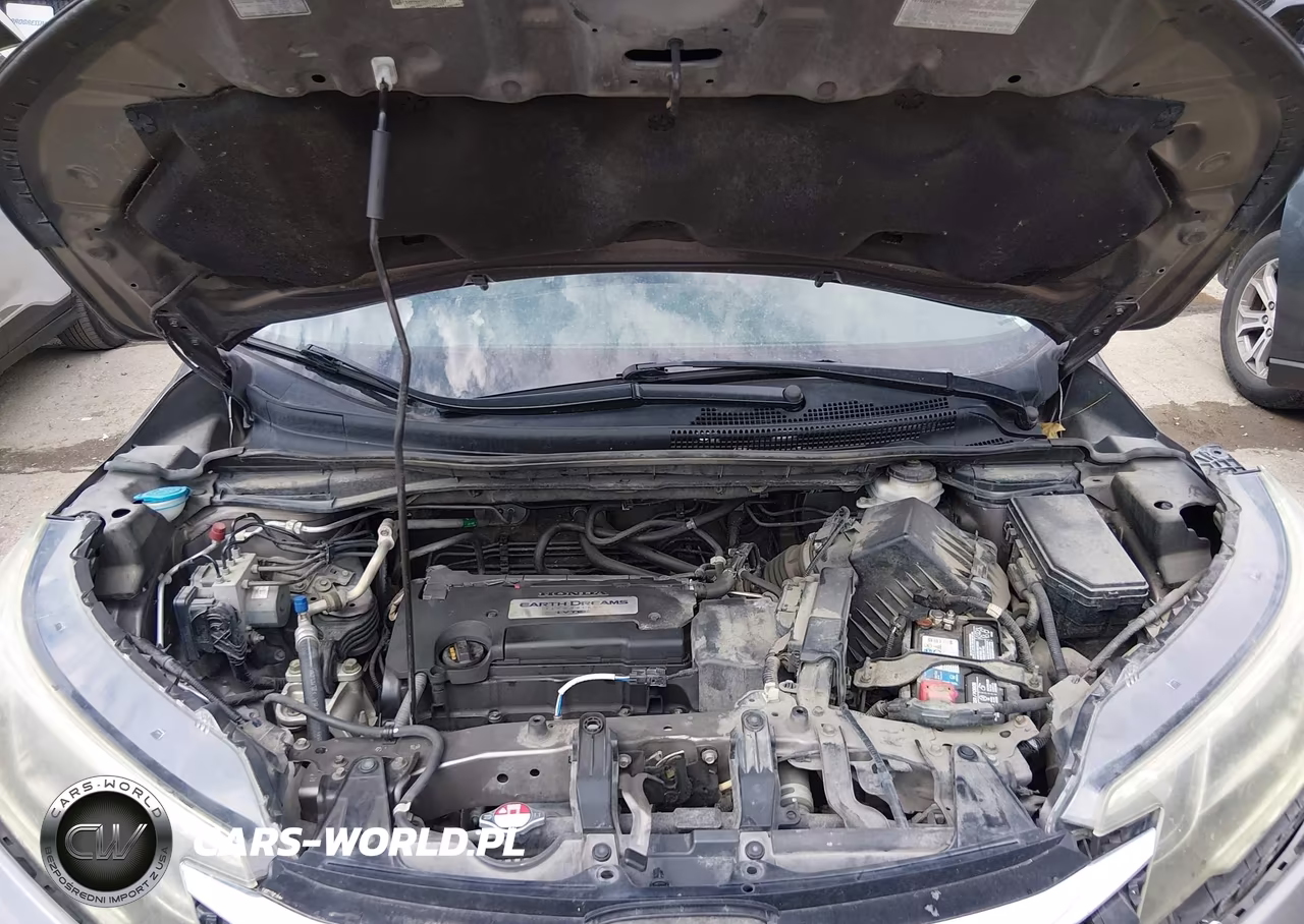 2015 Honda Cr-V Ex-L VIN:5J6RM4H76FL039584 - 10