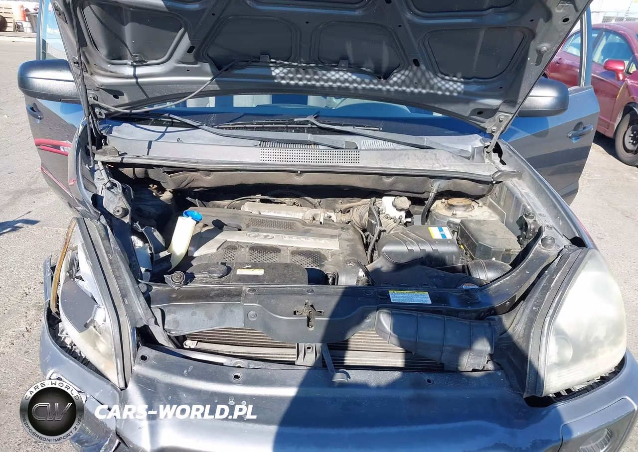 2007 Hyundai Tucson Gls VIN:KM8JM12B57U498126 - 10