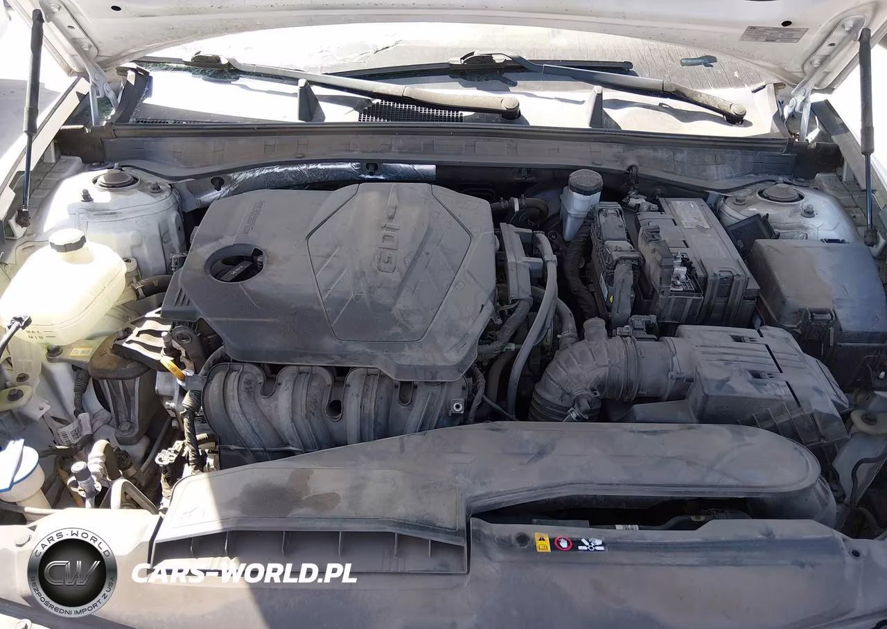 2020 Hyundai Sonata Sel VIN:5NPEL4JA7LH003173 - 10