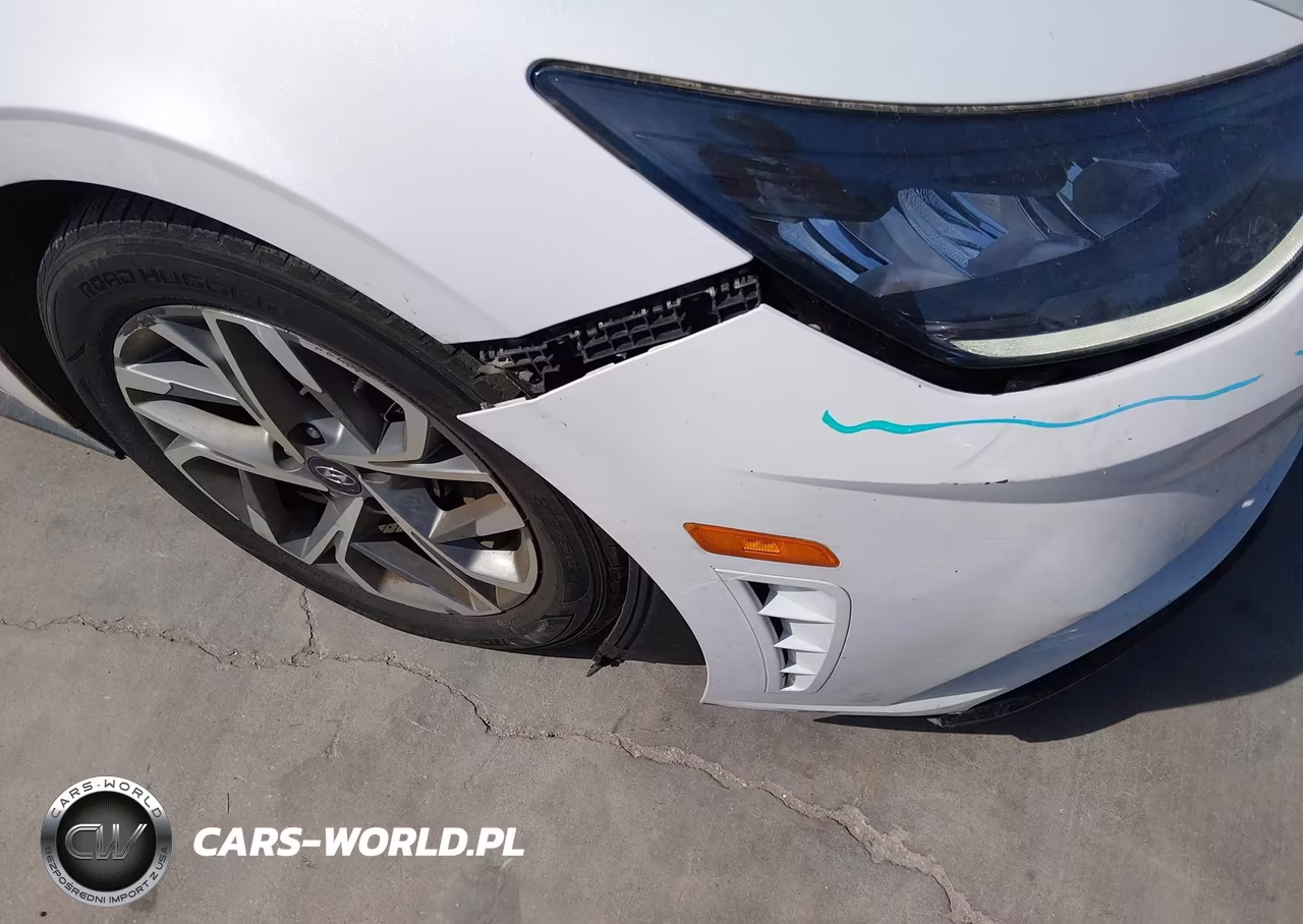 2020 Hyundai Sonata Sel VIN:5NPEL4JA7LH003173 - 19