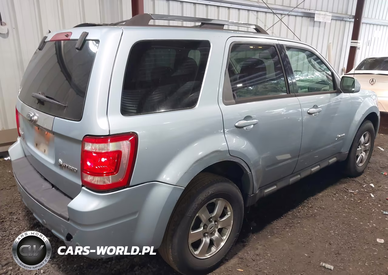 2009 Ford Escape Hybrid Limited VIN:1FMCU49319KA56225 - 4