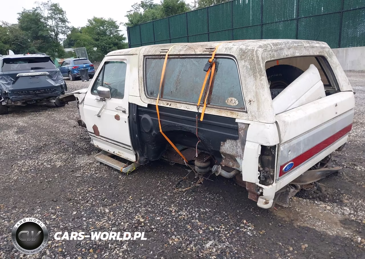 1989 Ford Bronco U100 VIN:1FMEU15H5KLA82898 - 3