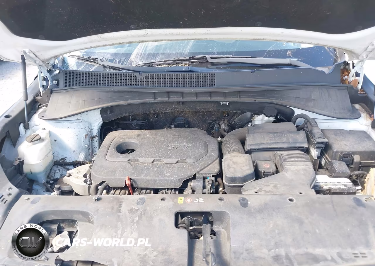 2019 Kia Sorento 2.4L Lx VIN:5XYPG4A32KG531241 - 10