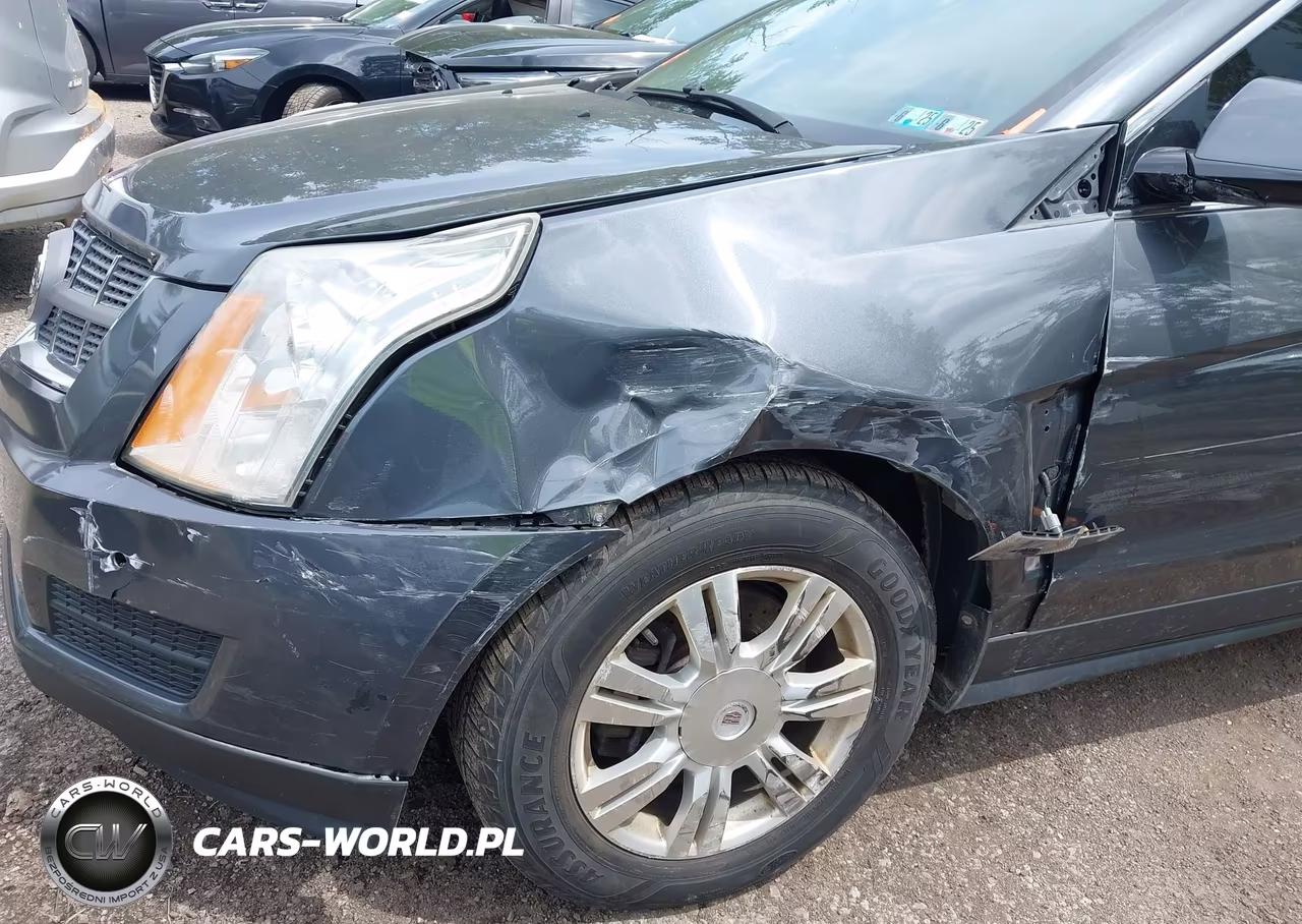 2010 Cadillac Srx Luxury Collection VIN:3GYFNAEY5AS545308 - 12
