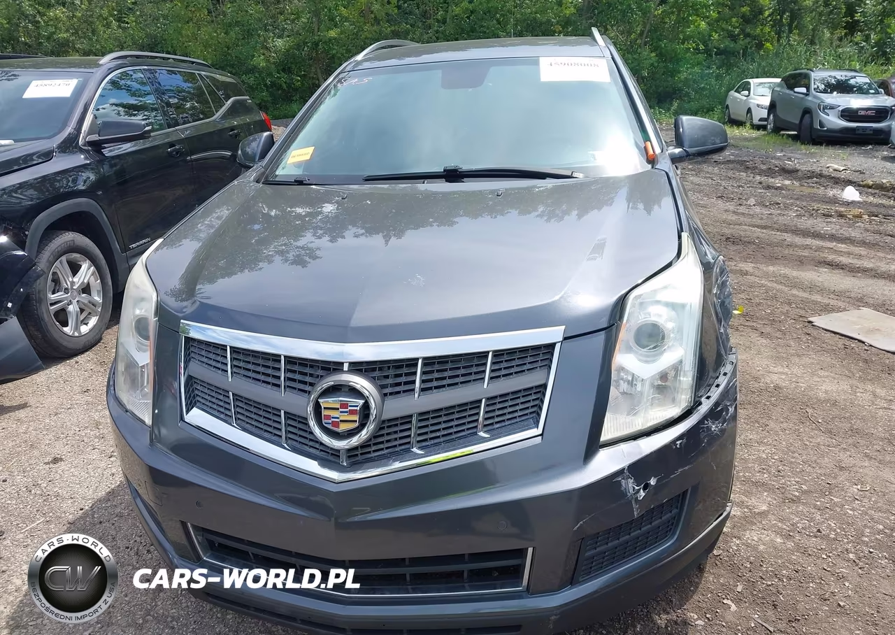 2010 Cadillac Srx Luxury Collection VIN:3GYFNAEY5AS545308 - 13