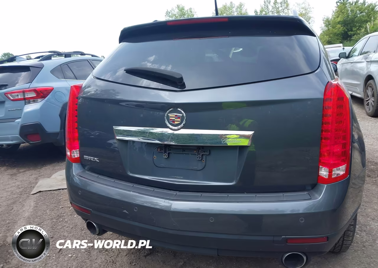 2010 Cadillac Srx Luxury Collection VIN:3GYFNAEY5AS545308 - 17