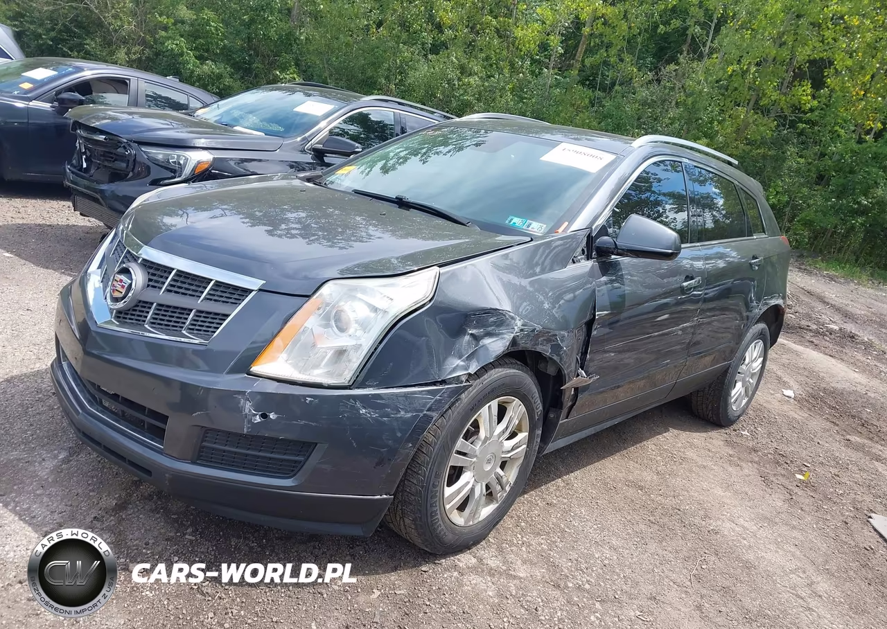 2010 Cadillac Srx Luxury Collection VIN:3GYFNAEY5AS545308 - 2