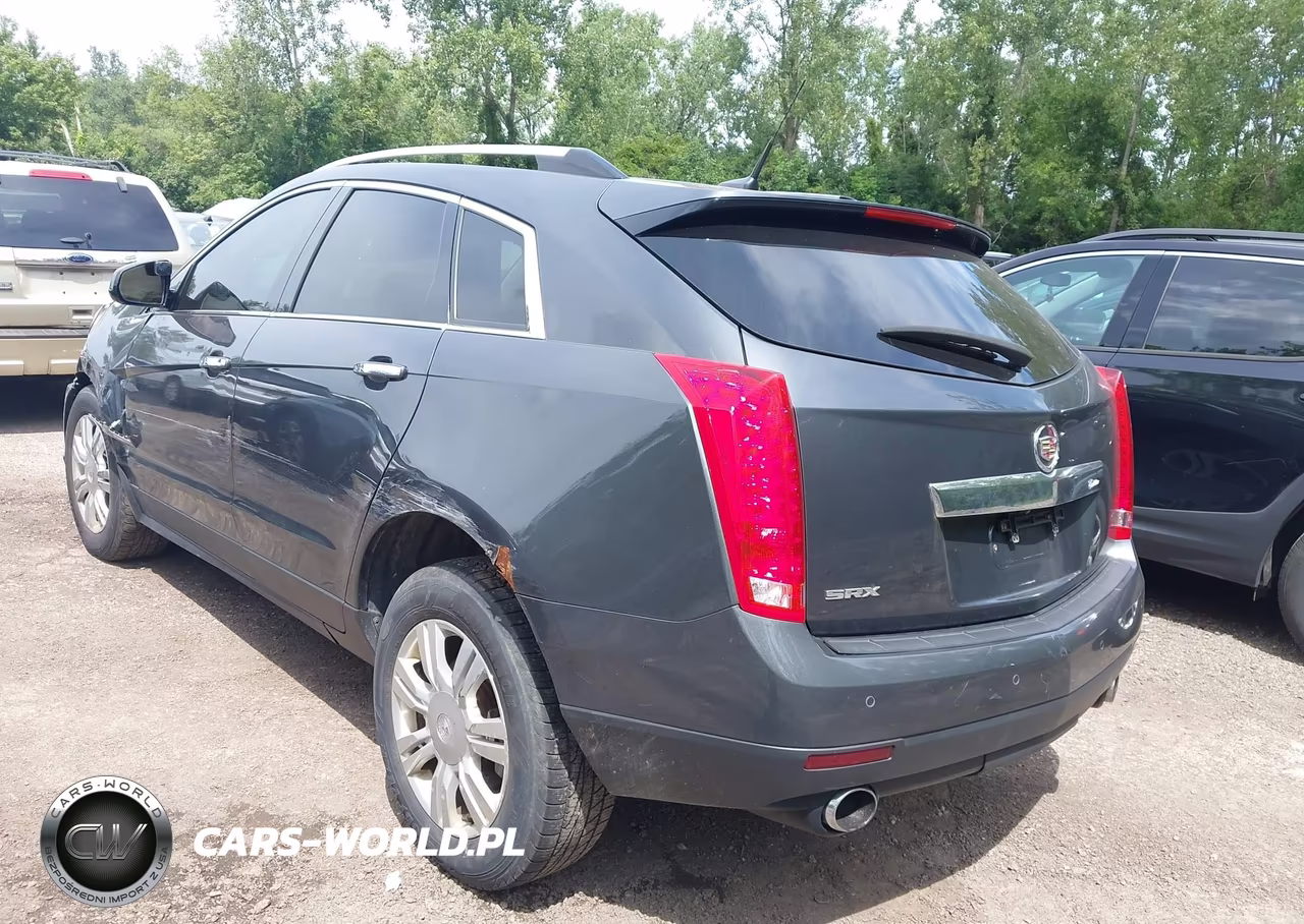 2010 Cadillac Srx Luxury Collection VIN:3GYFNAEY5AS545308 - 3