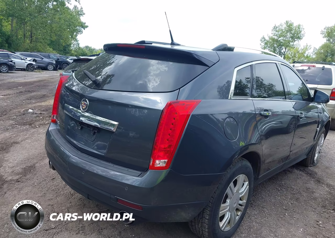 2010 Cadillac Srx Luxury Collection VIN:3GYFNAEY5AS545308 - 4