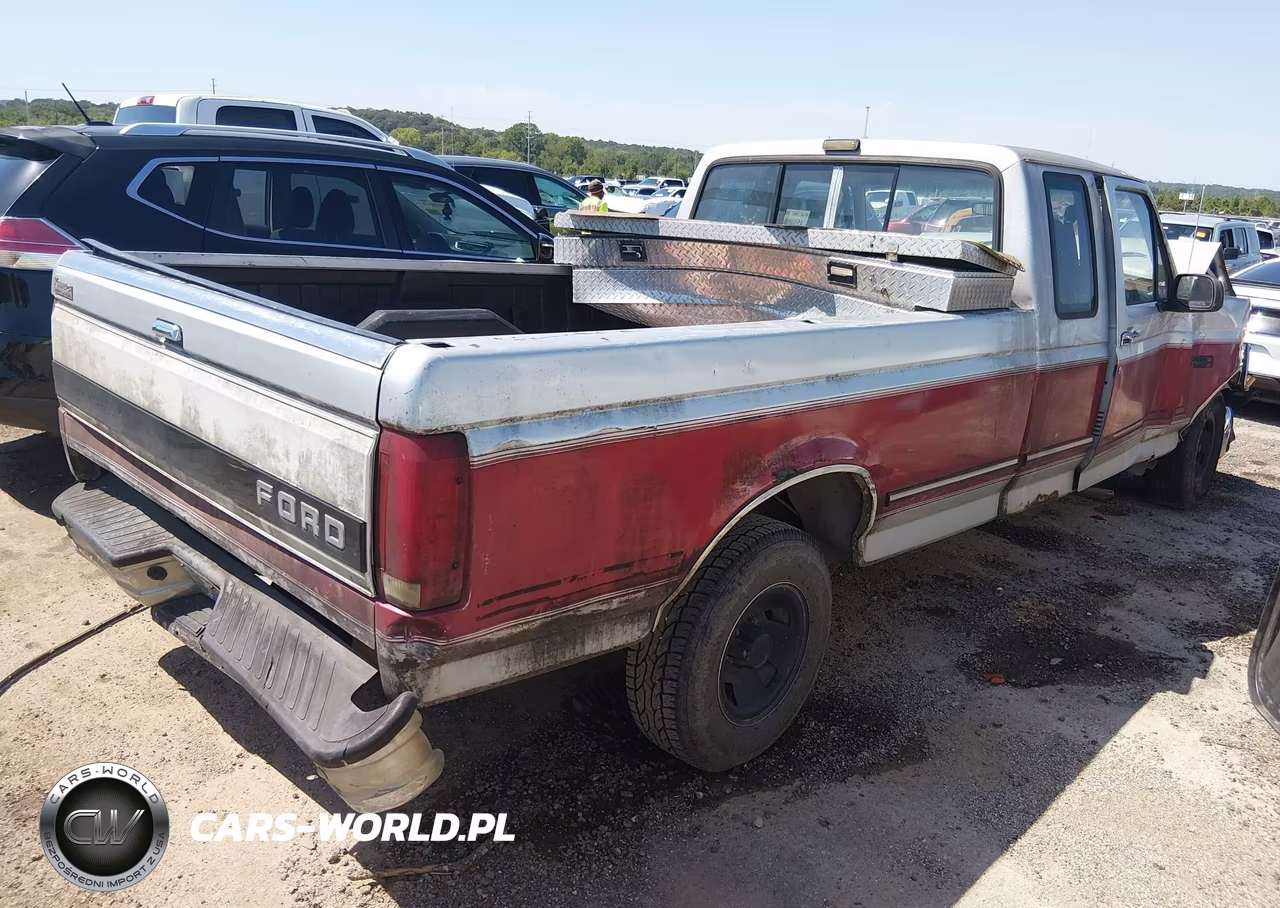 1992 Ford F150 VIN:1FTEX15N3NKB83515 - 4