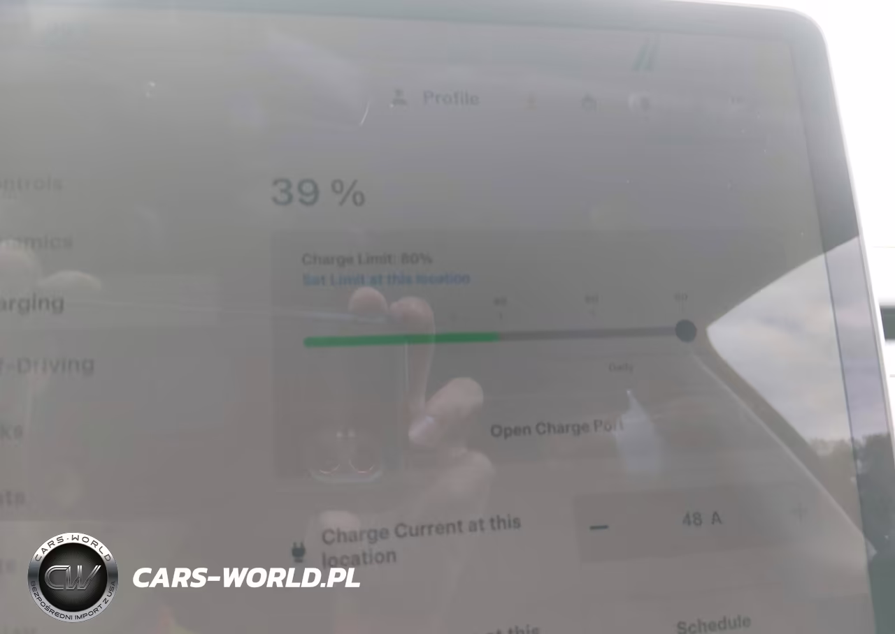 2024 Tesla Model Y Long Range Single Motor Rear-Wheel Drive-Rwd VIN:7SAYGDED9RF162888 - 17