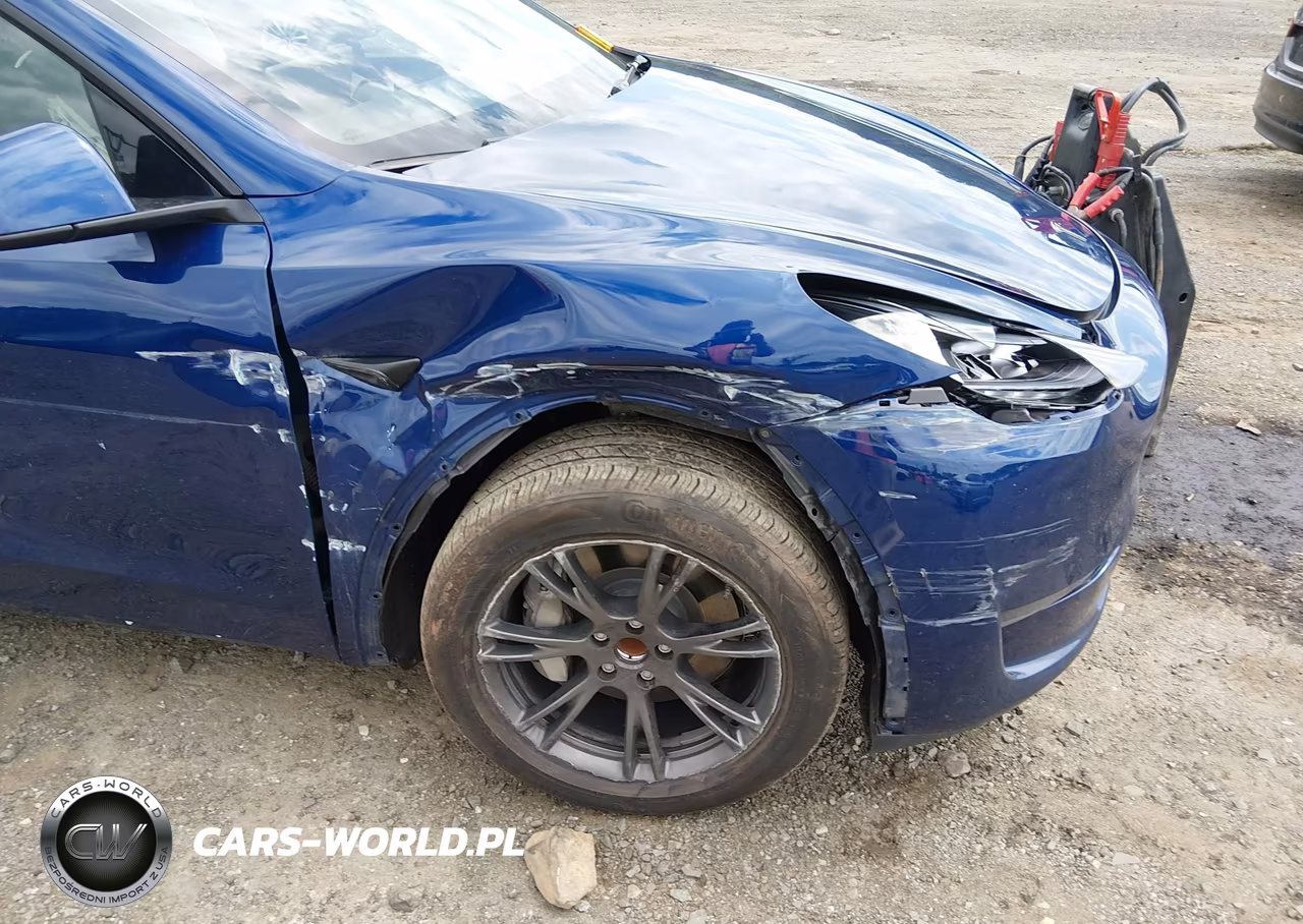 2024 Tesla Model Y Long Range Single Motor Rear-Wheel Drive-Rwd VIN:7SAYGDED9RF162888 - 19