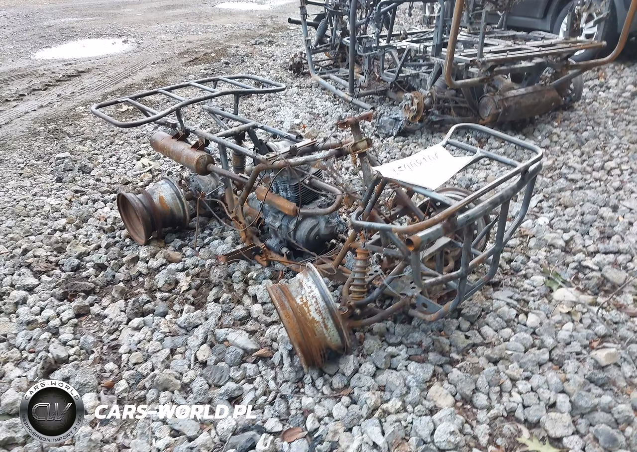 2002 Honda Trx250 – zdjęcie 1 z 11
