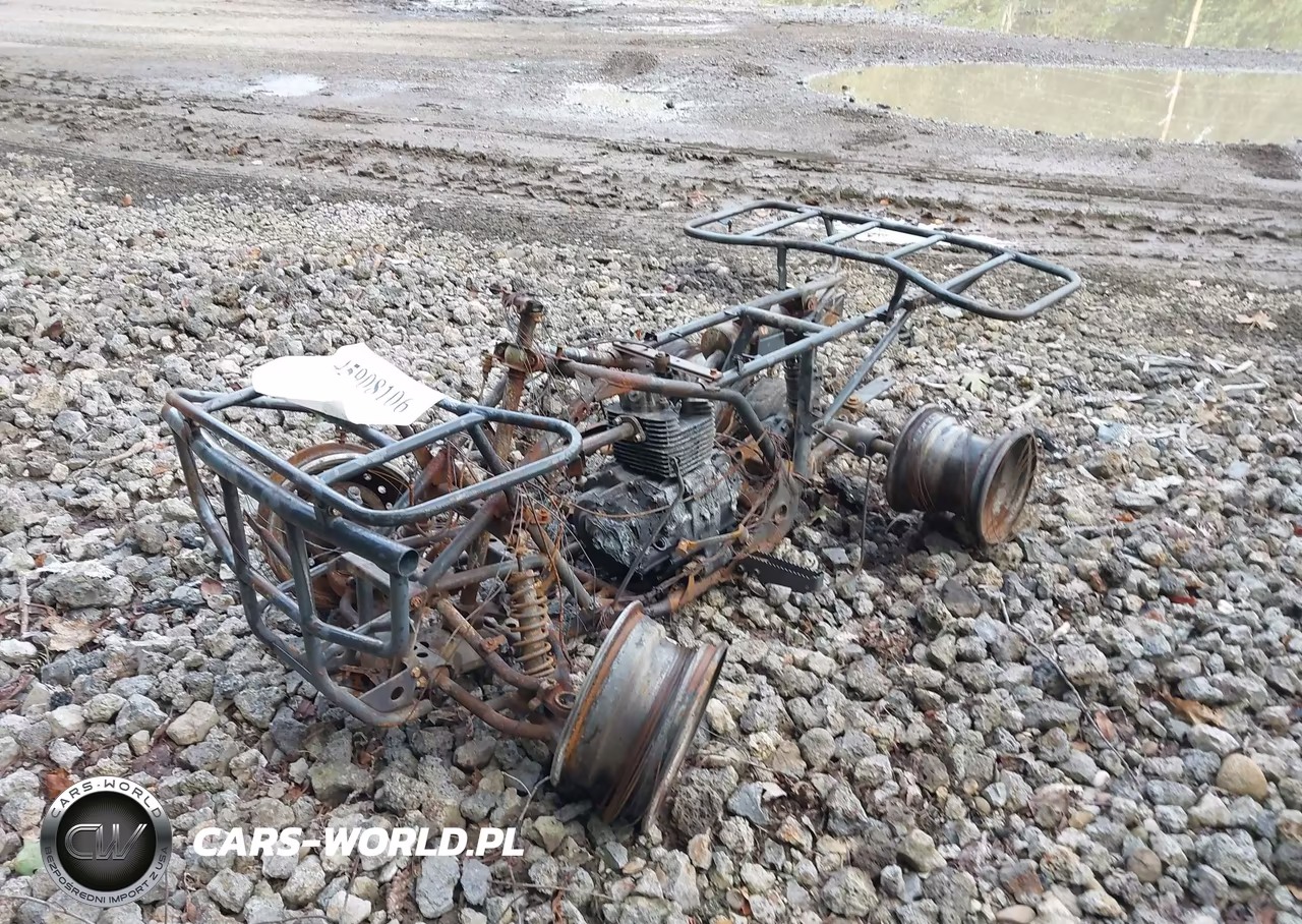 2002 Honda Trx250 VIN:478TE210124203816 - 2