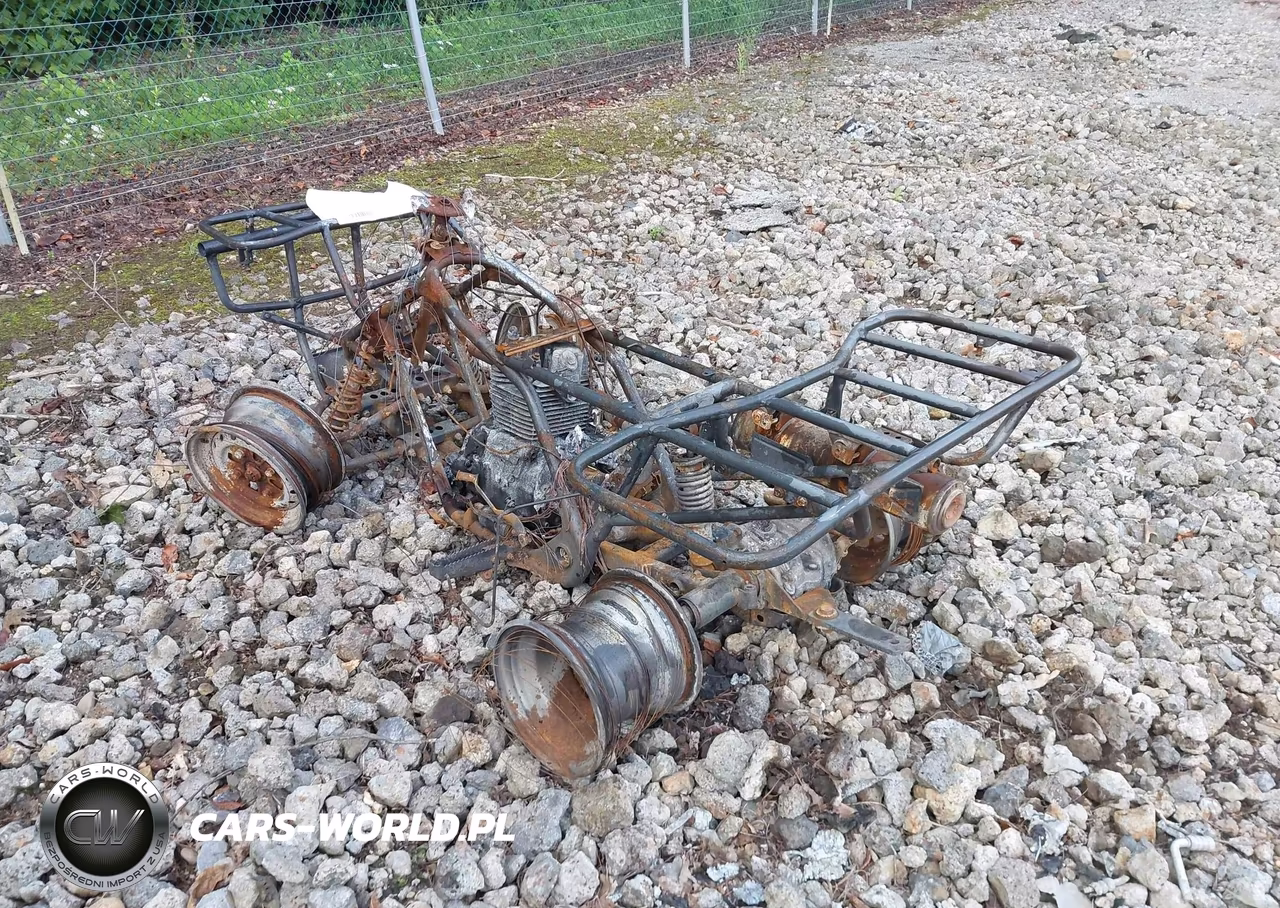 2002 Honda Trx250 VIN:478TE210124203816 - 3