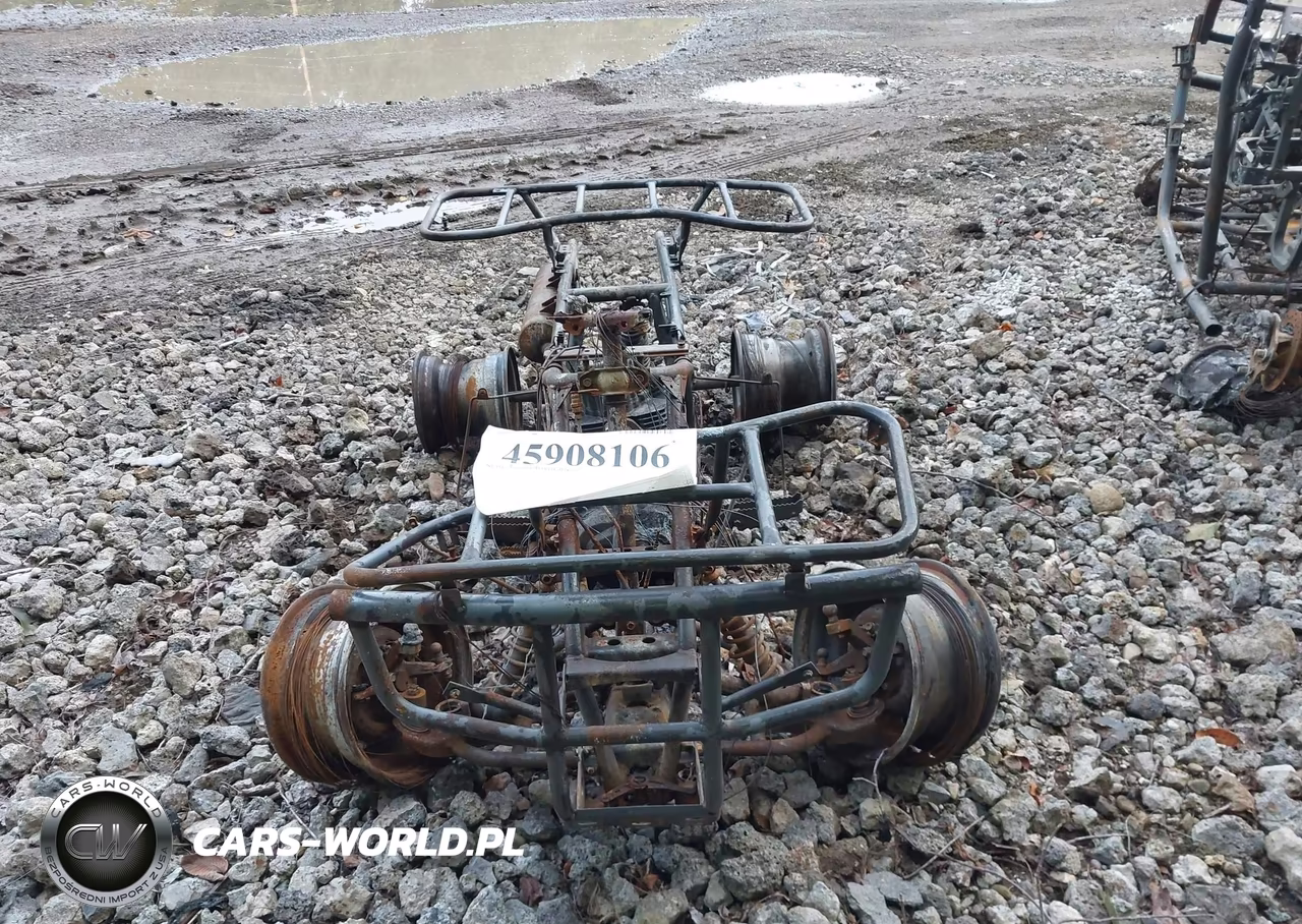 2002 Honda Trx250 VIN:478TE210124203816 - 5