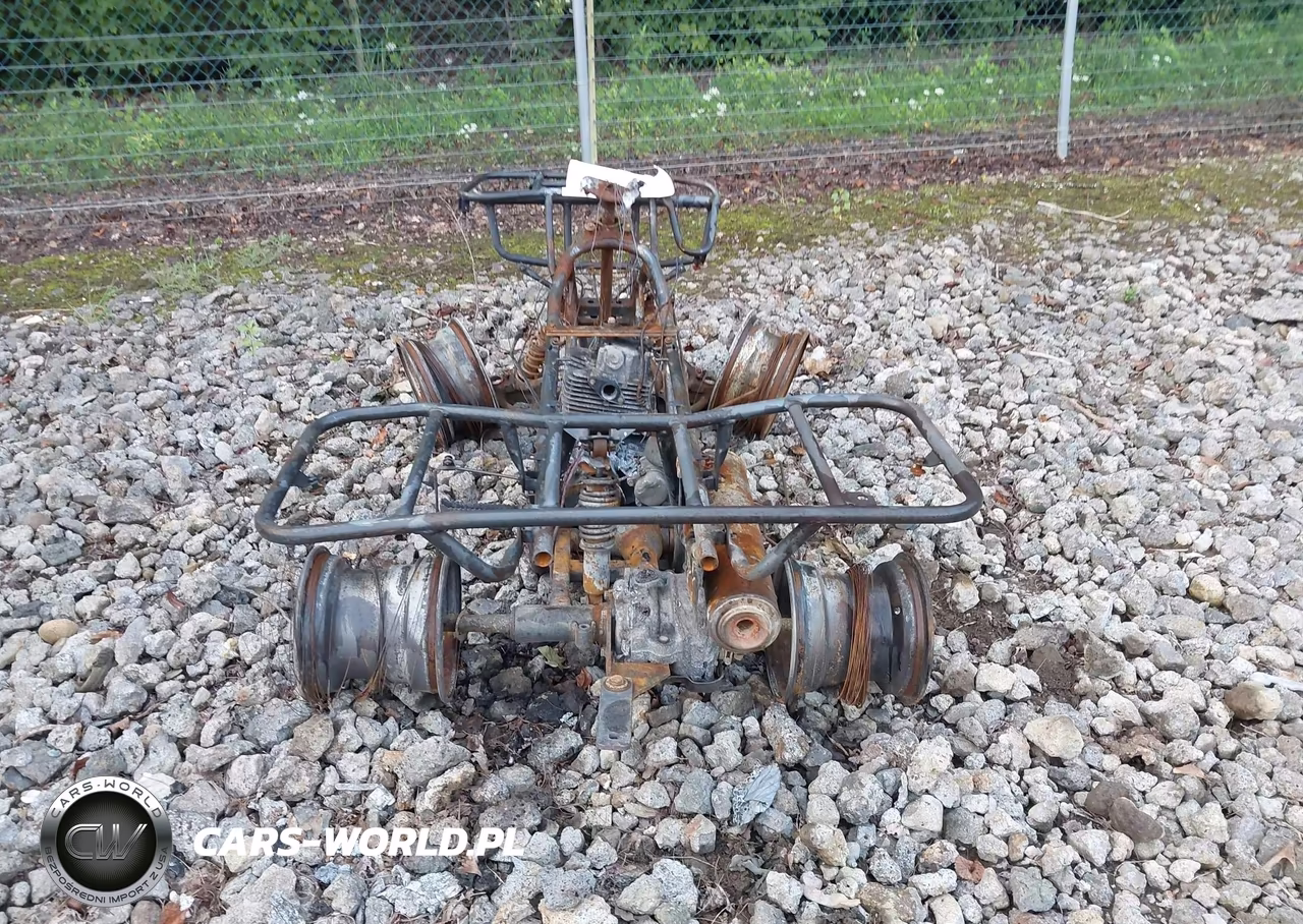 2002 Honda Trx250 VIN:478TE210124203816 - 6