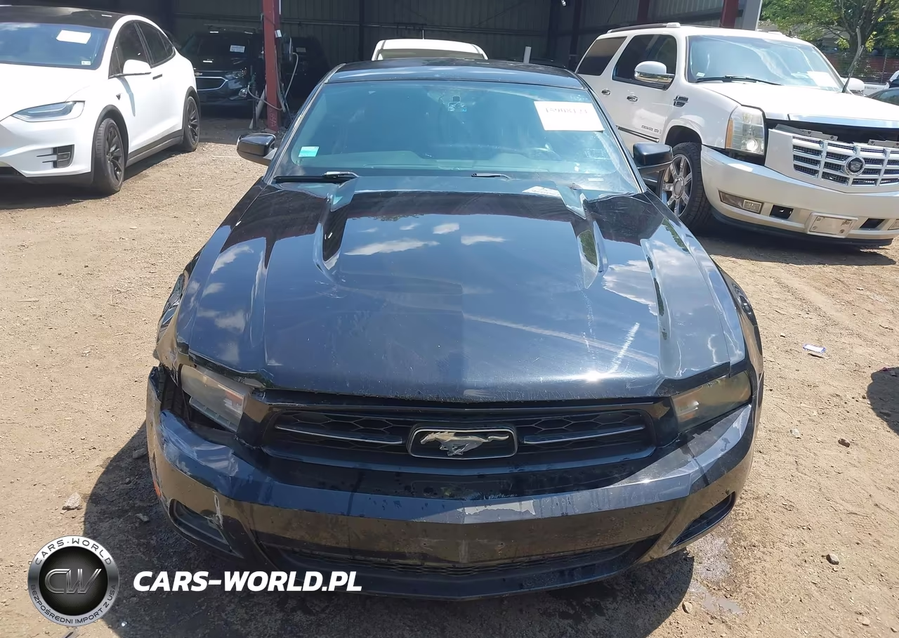 2012 Ford Mustang V6 Premium VIN:1ZVBP8AM3C5234674 - 12