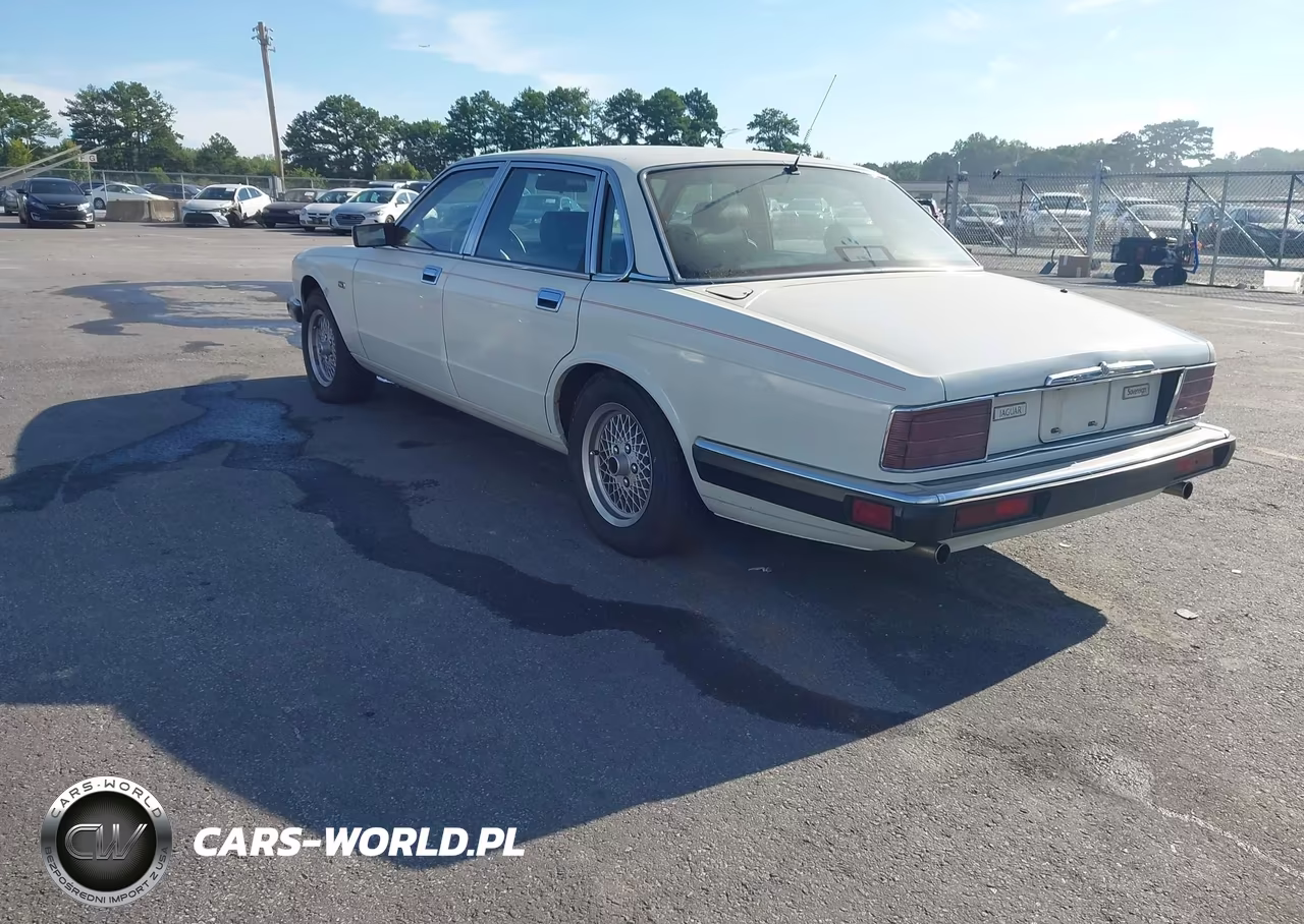1991 Jaguar Xj6 Sovereign VIN:SAJHY174XMC630107 - 3