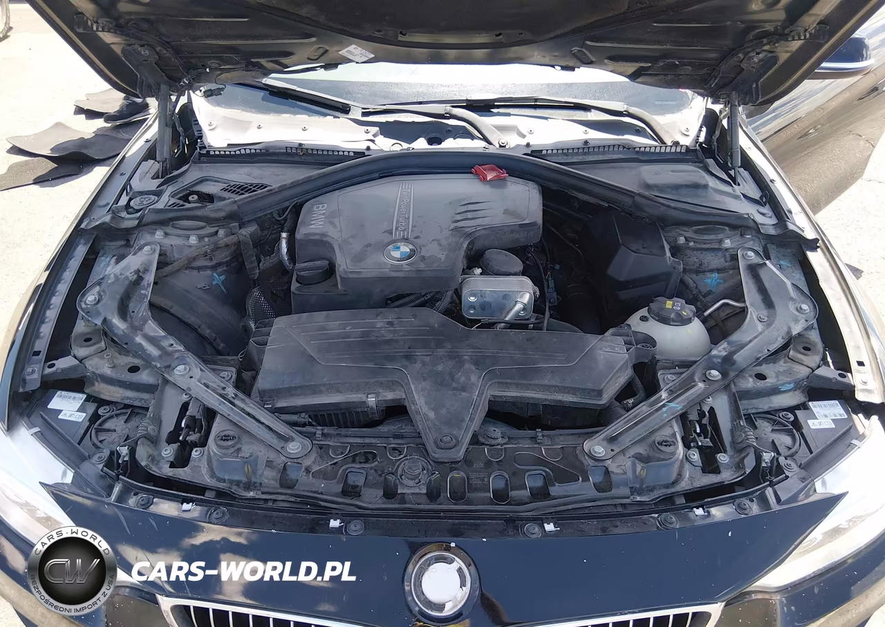 2016 BMW 428I VIN:WBA3V7C51G5A26246 - 10