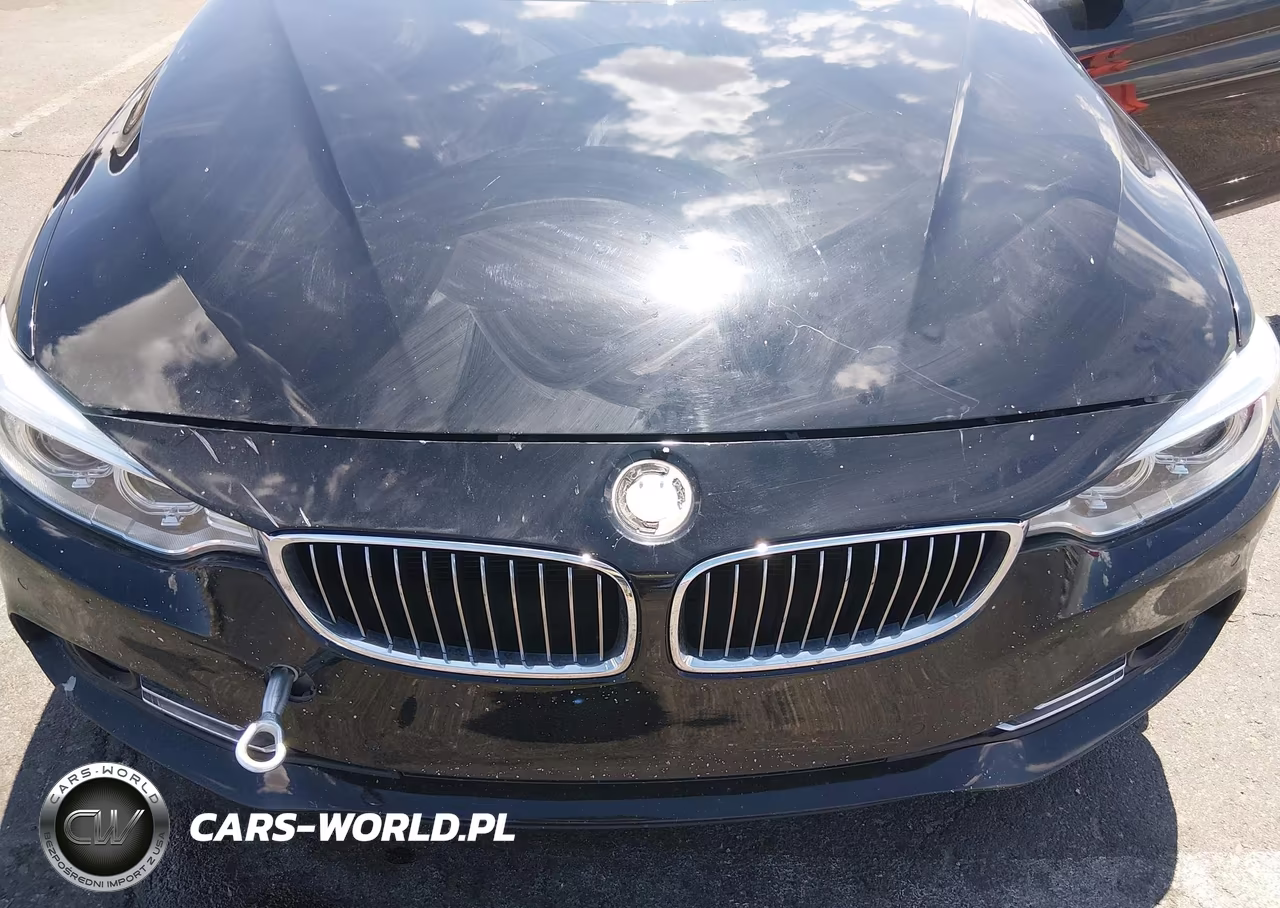 2016 BMW 428I VIN:WBA3V7C51G5A26246 - 17