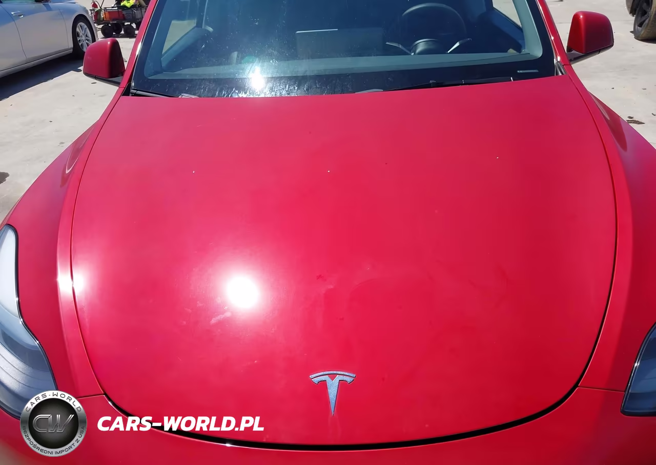2024 Tesla Model Y VIN:7SAYGDEE5RA217617 - 10